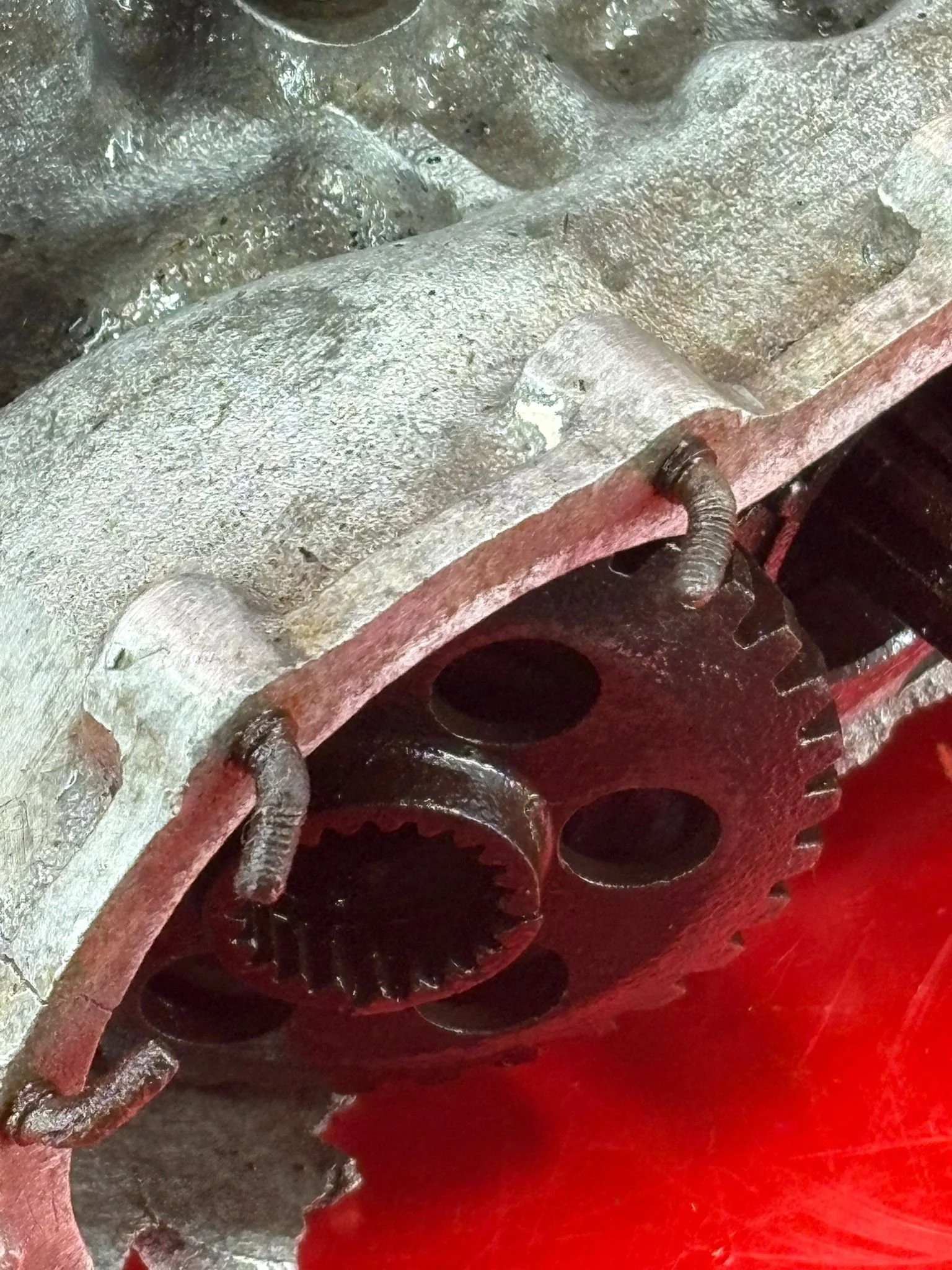 WhatsApp Image 2026-02-10 at 11.56.41 (1).jpeg