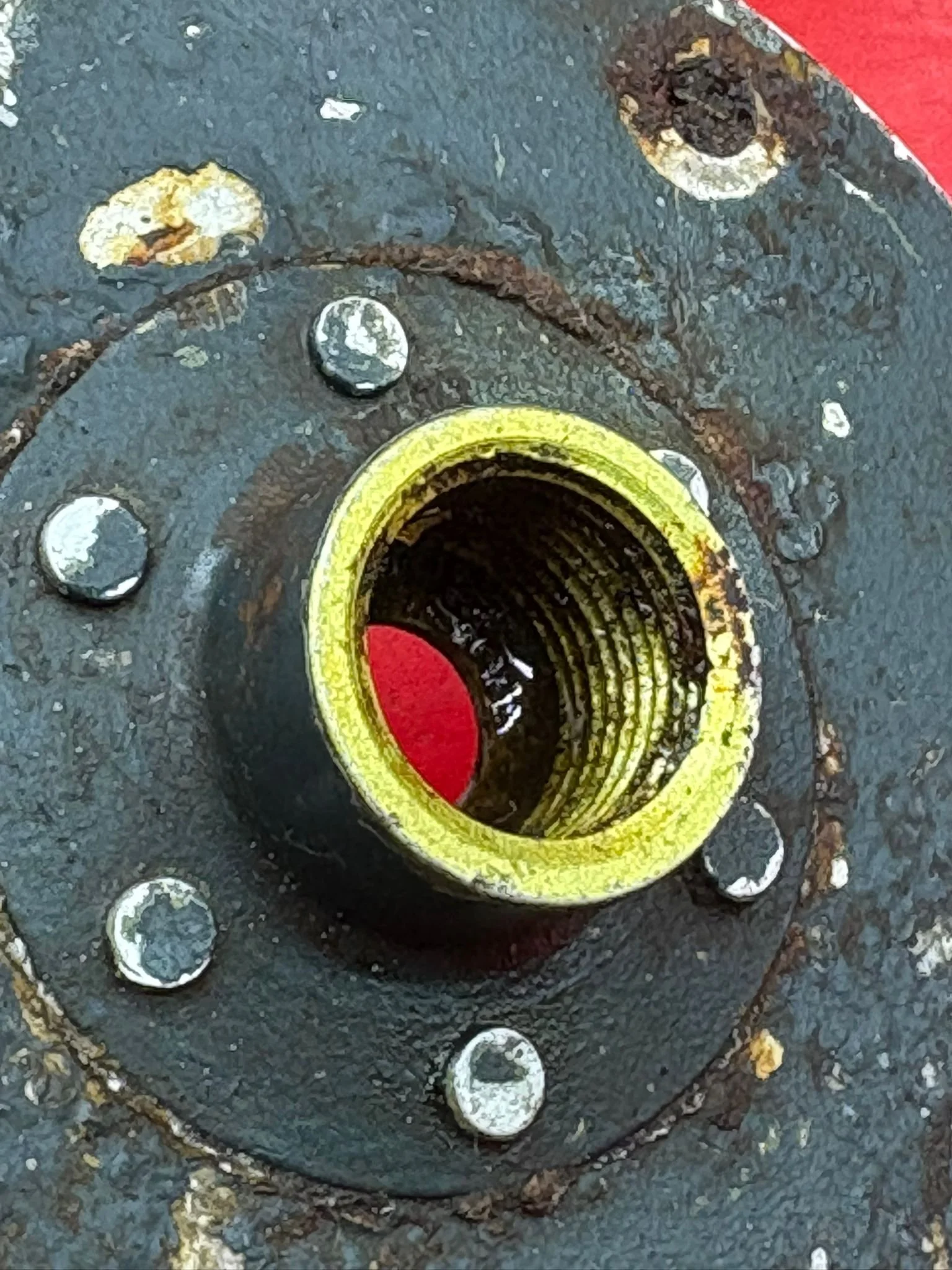 WhatsApp Image 2026-02-13 at 16.32.16.jpeg