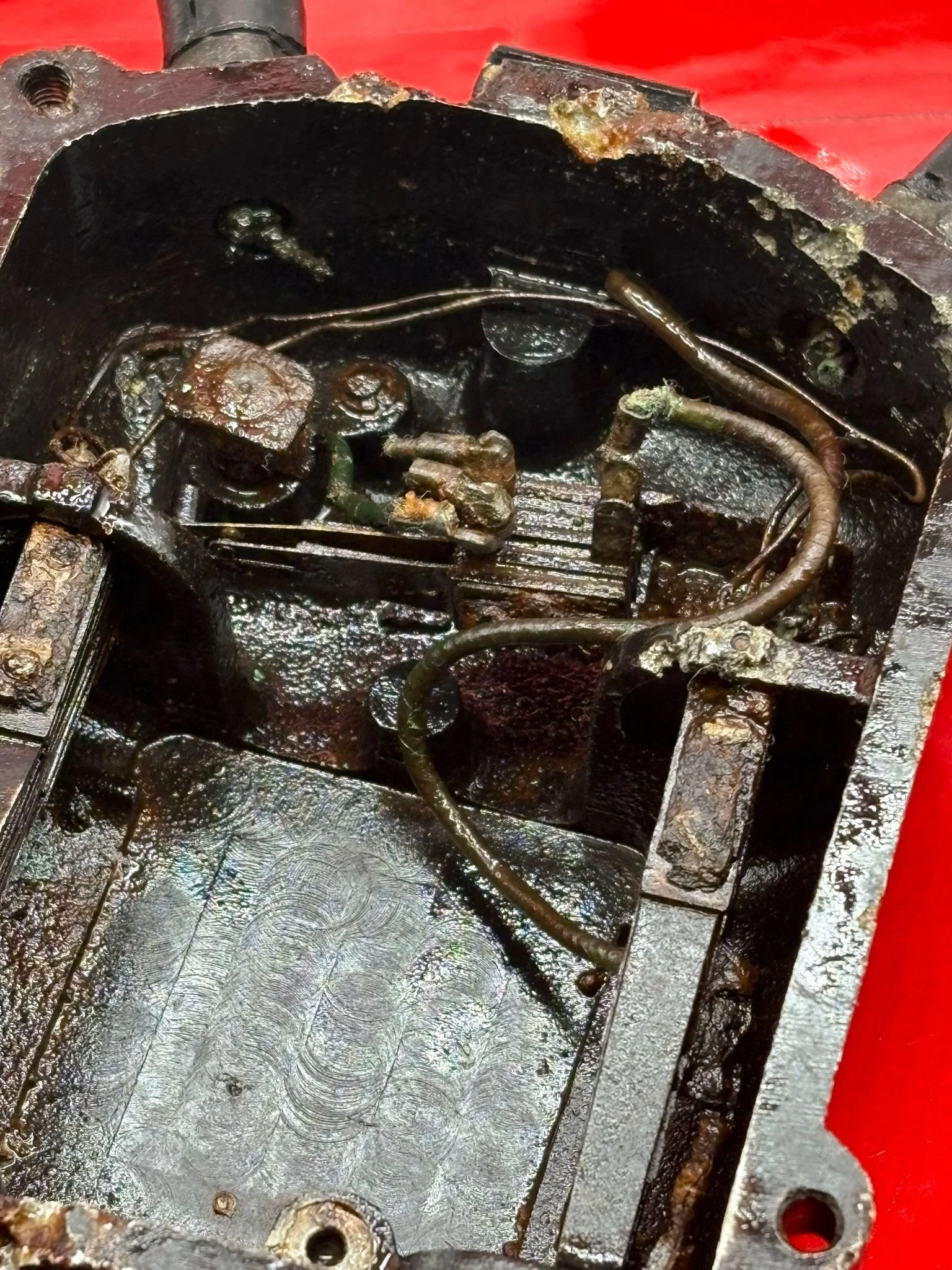 WhatsApp Image 2025-10-21 at 13.55.56.jpeg