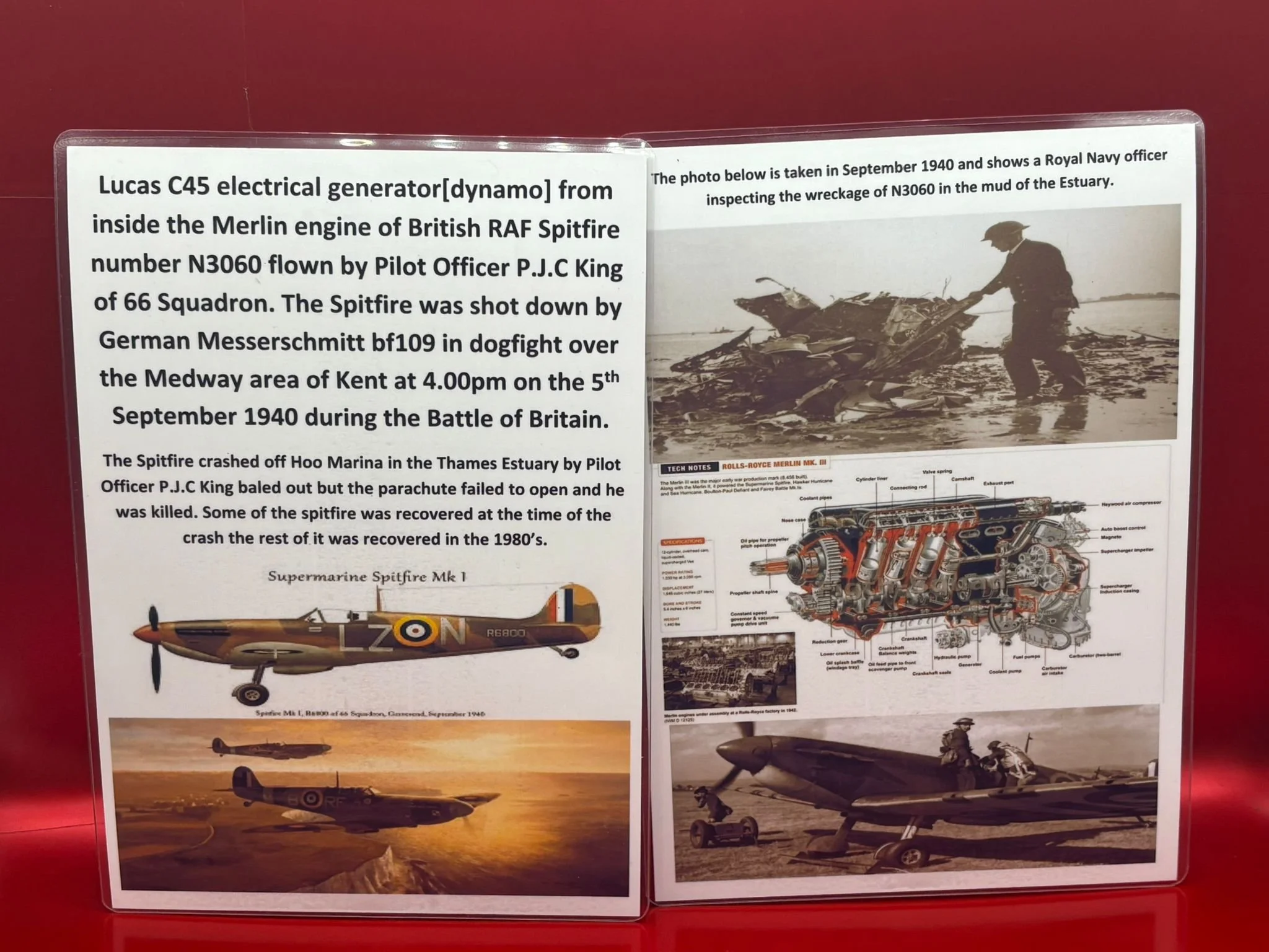 WhatsApp Image 2026-03-12 at 15.21.30 (1).jpeg