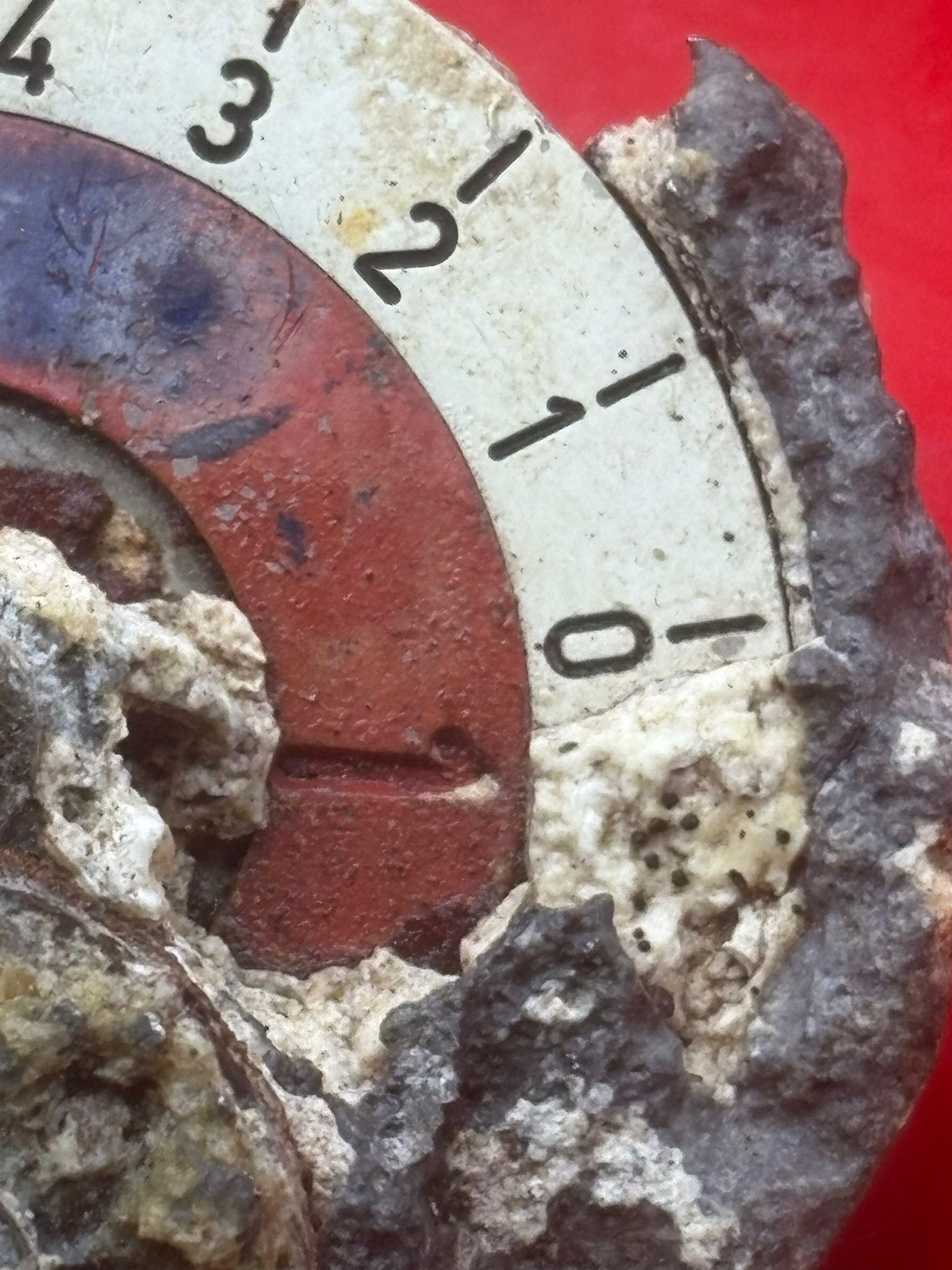 WhatsApp Image 2026-02-13 at 16.21.51 (1).jpeg