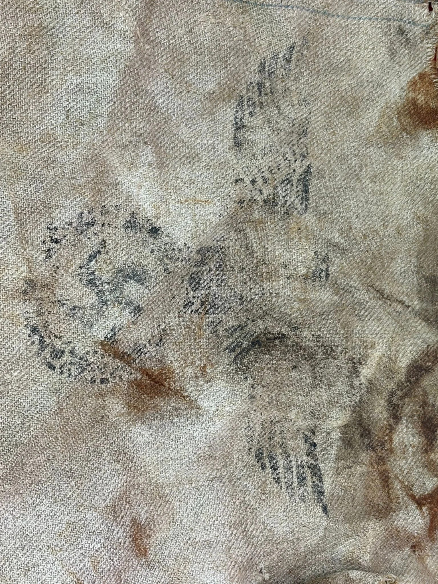 WhatsApp Image 2025-10-27 at 15.45.53 (1).jpeg