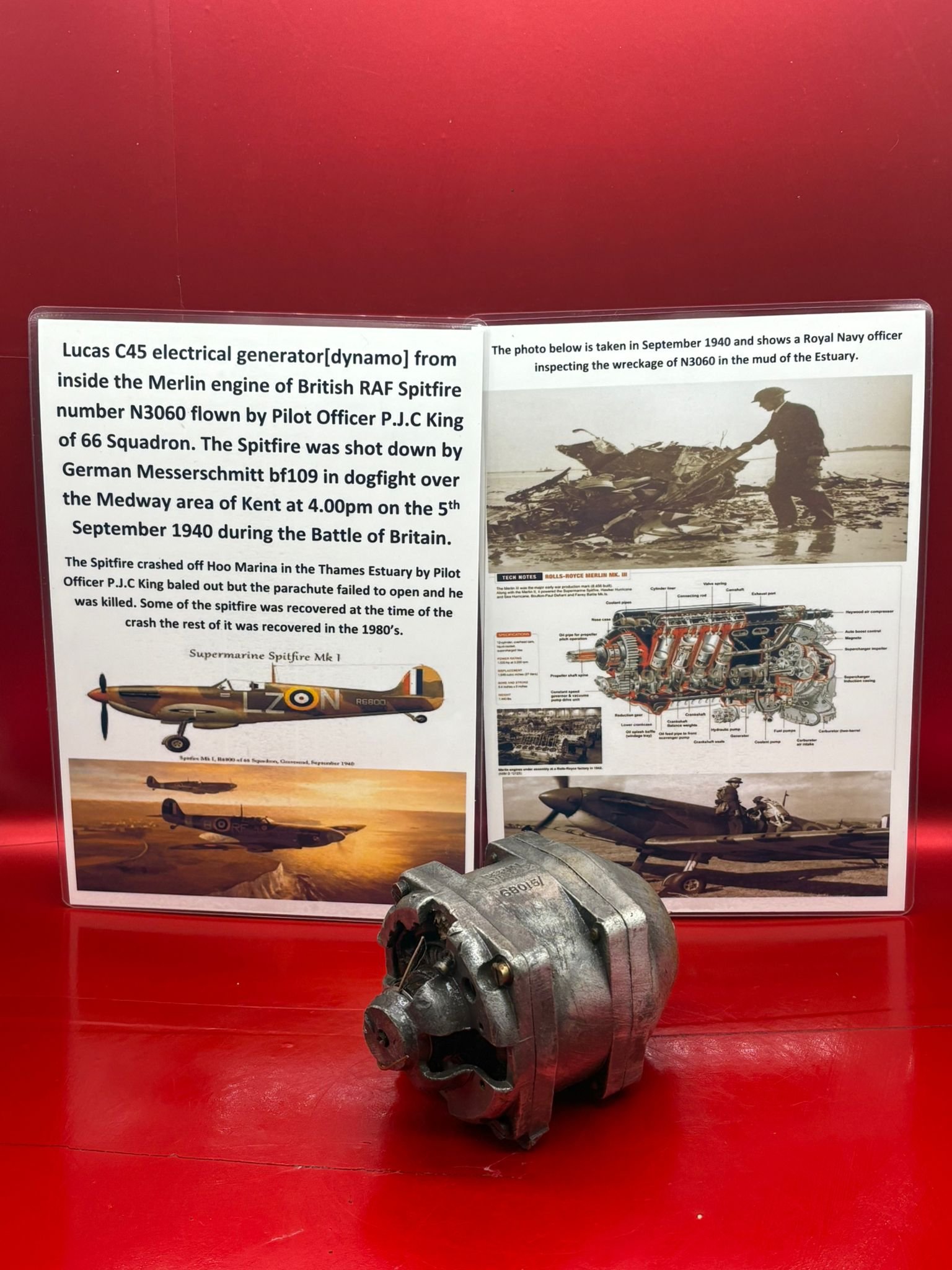 WhatsApp Image 2026-03-12 at 15.21.28.jpeg