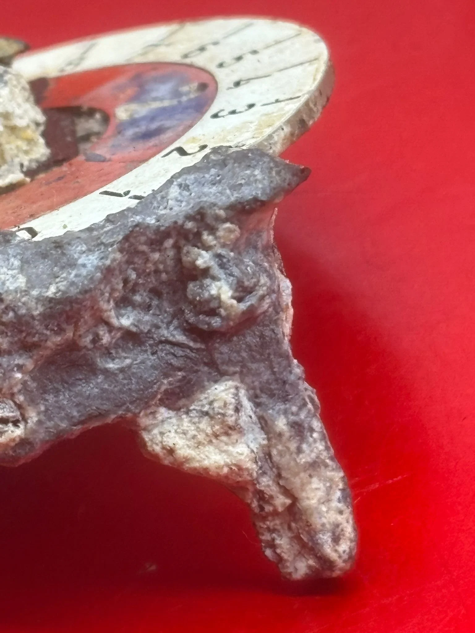 WhatsApp Image 2026-02-13 at 16.21.51 (7).jpeg