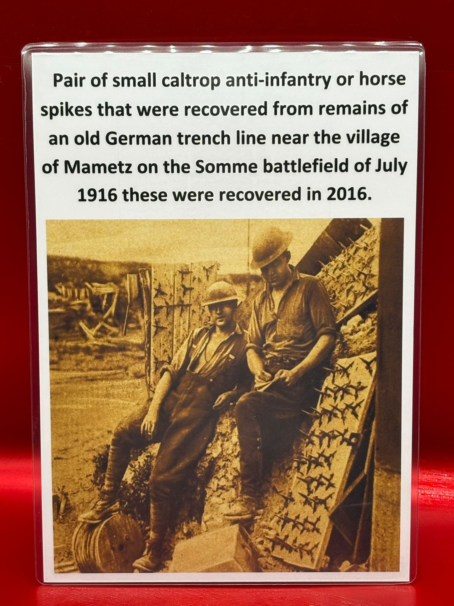 WhatsApp Image 2025-11-12 at 13.14.20 (3).jpeg