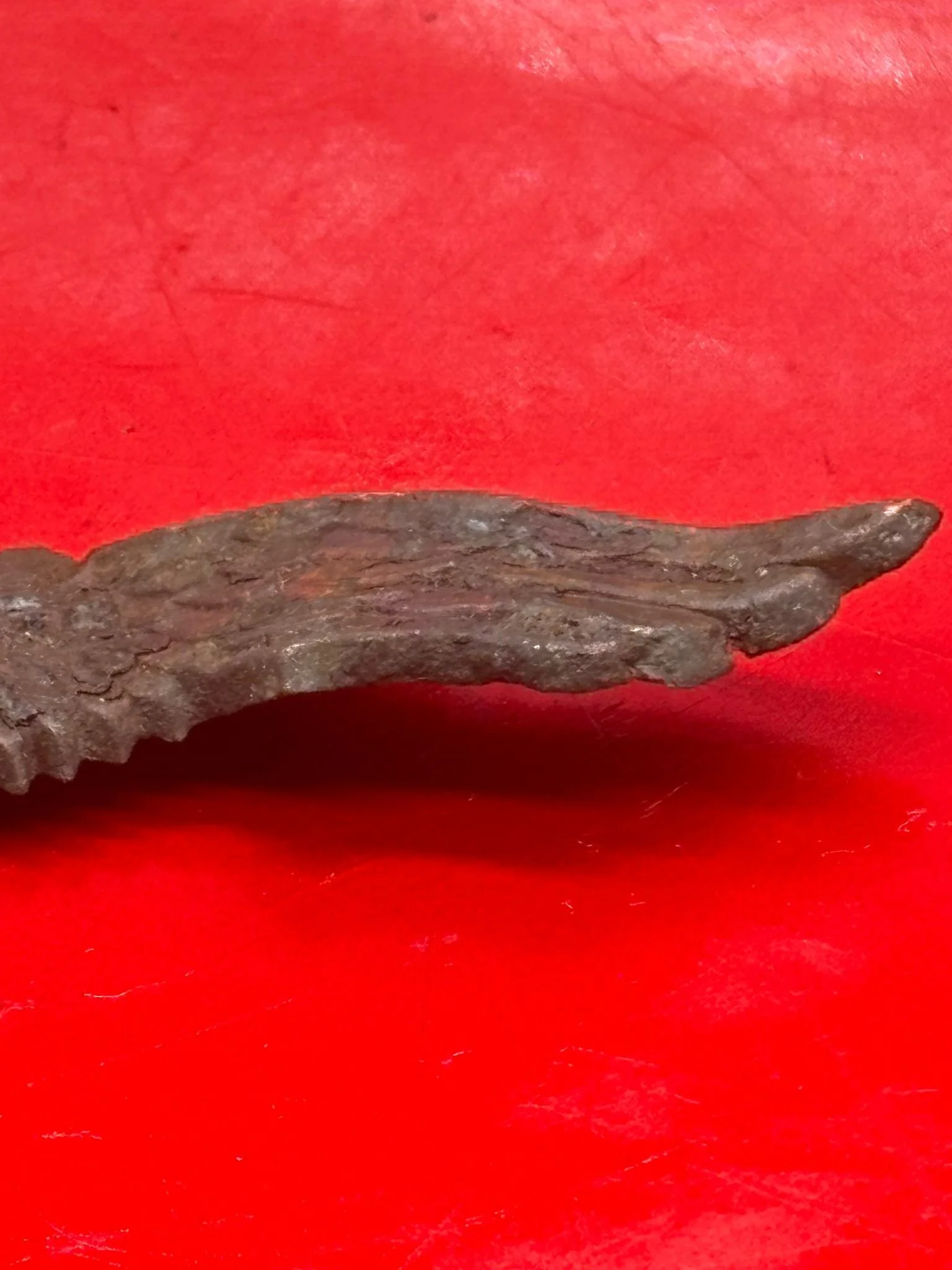 WhatsApp Image 2025-11-20 at 19.06.29 (1).jpeg