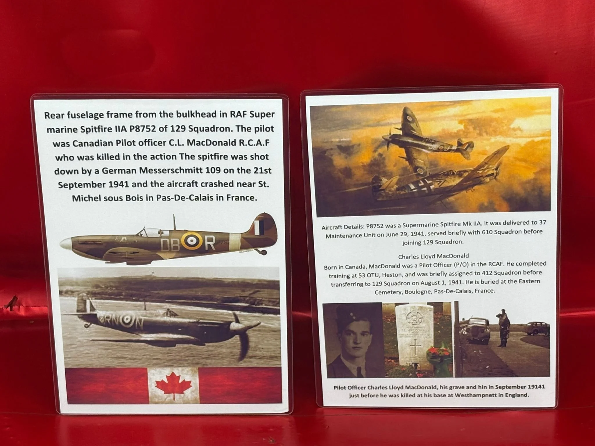 WhatsApp Image 2026-02-10 at 11.57.24 (7).jpeg