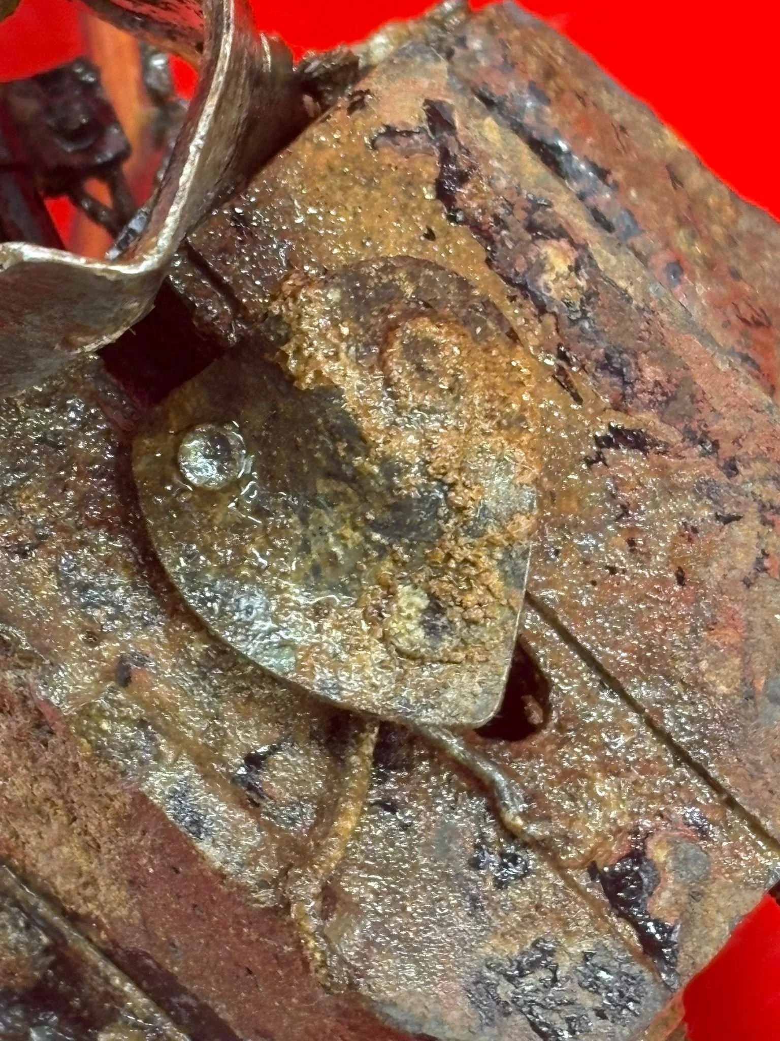 WhatsApp Image 2026-02-10 at 11.54.36 (7).jpeg