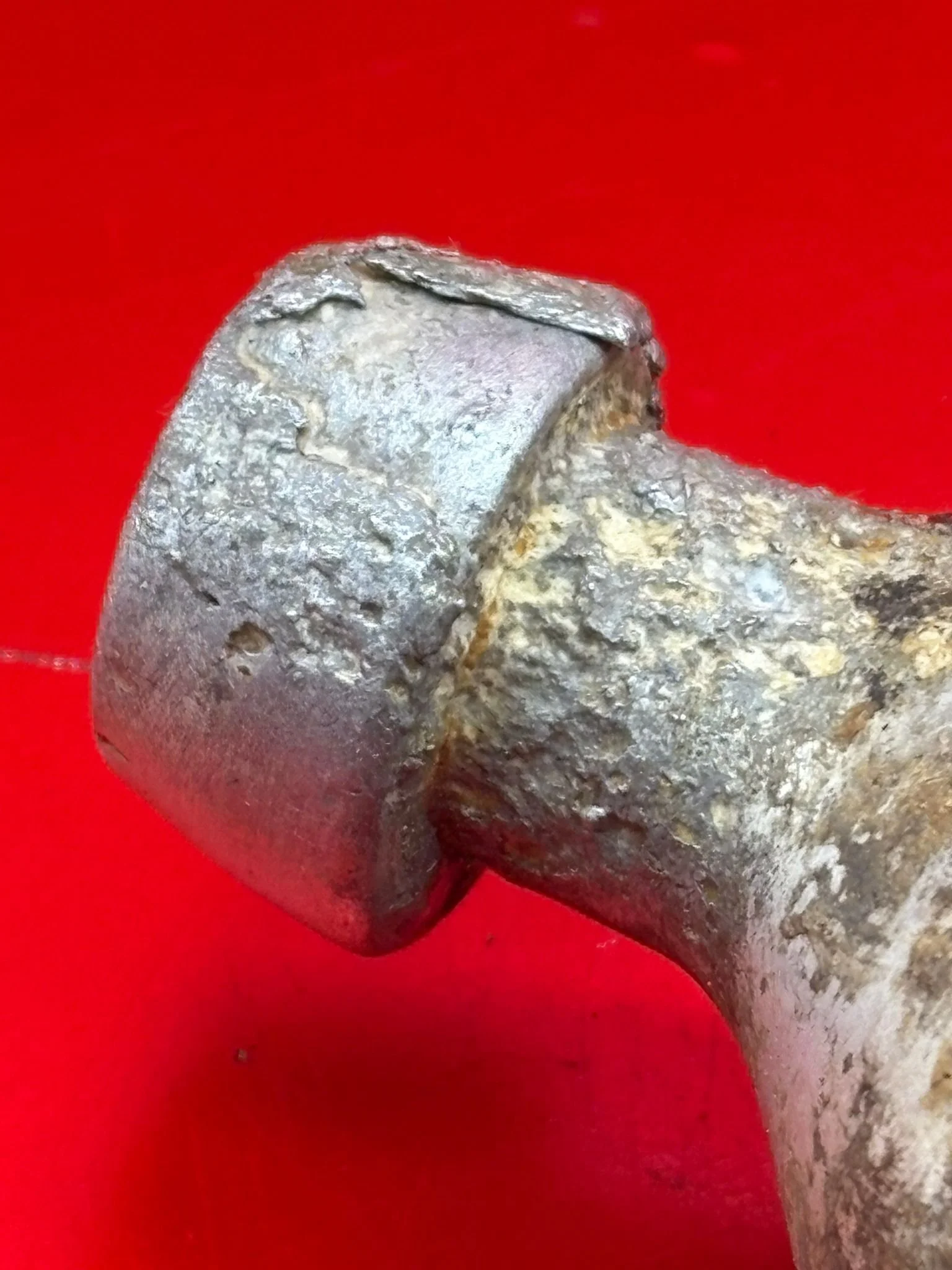 WhatsApp Image 2025-11-12 at 14.54.31.jpeg