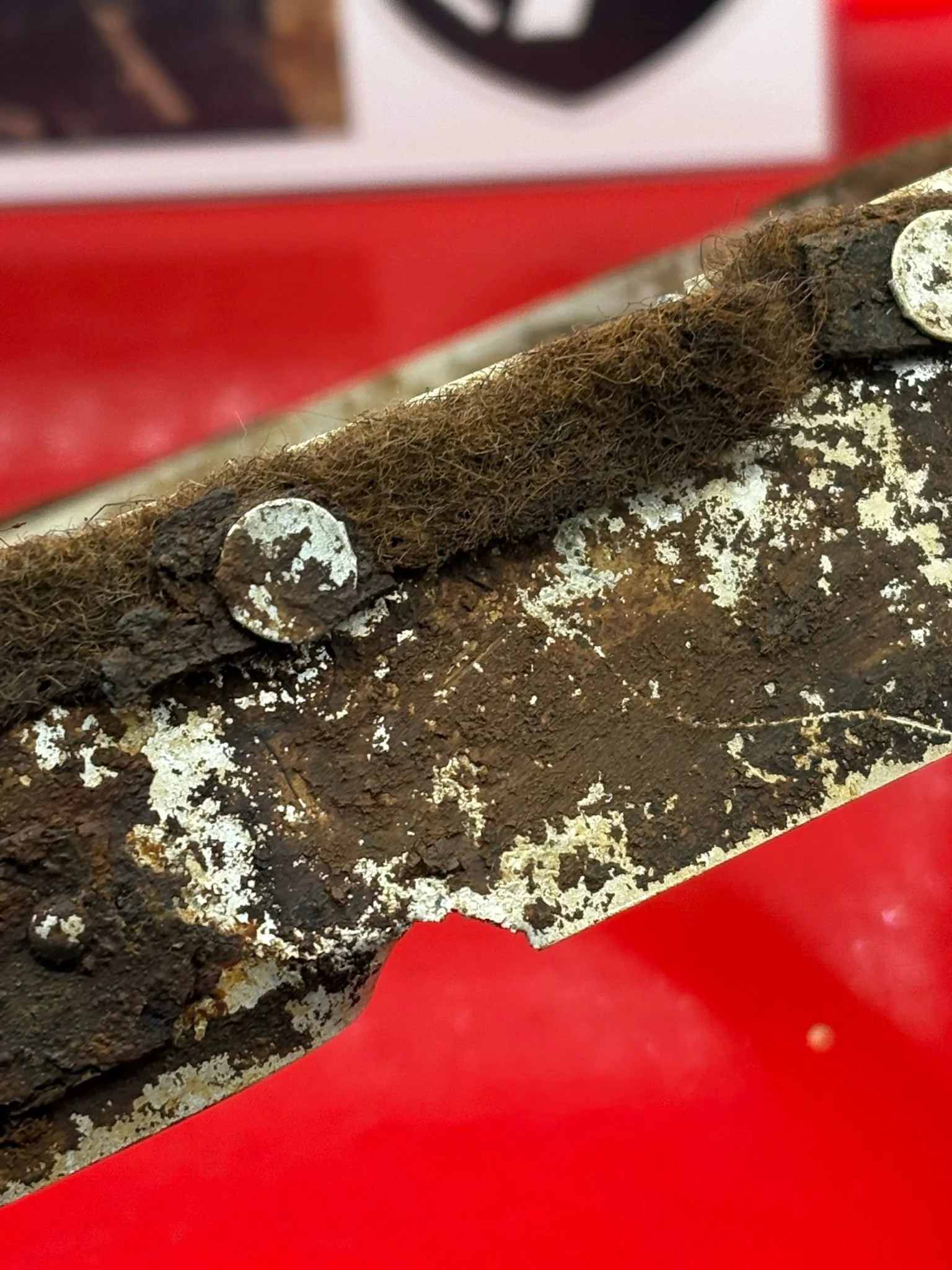 WhatsApp Image 2025-10-24 at 13.38.28 (1).jpeg