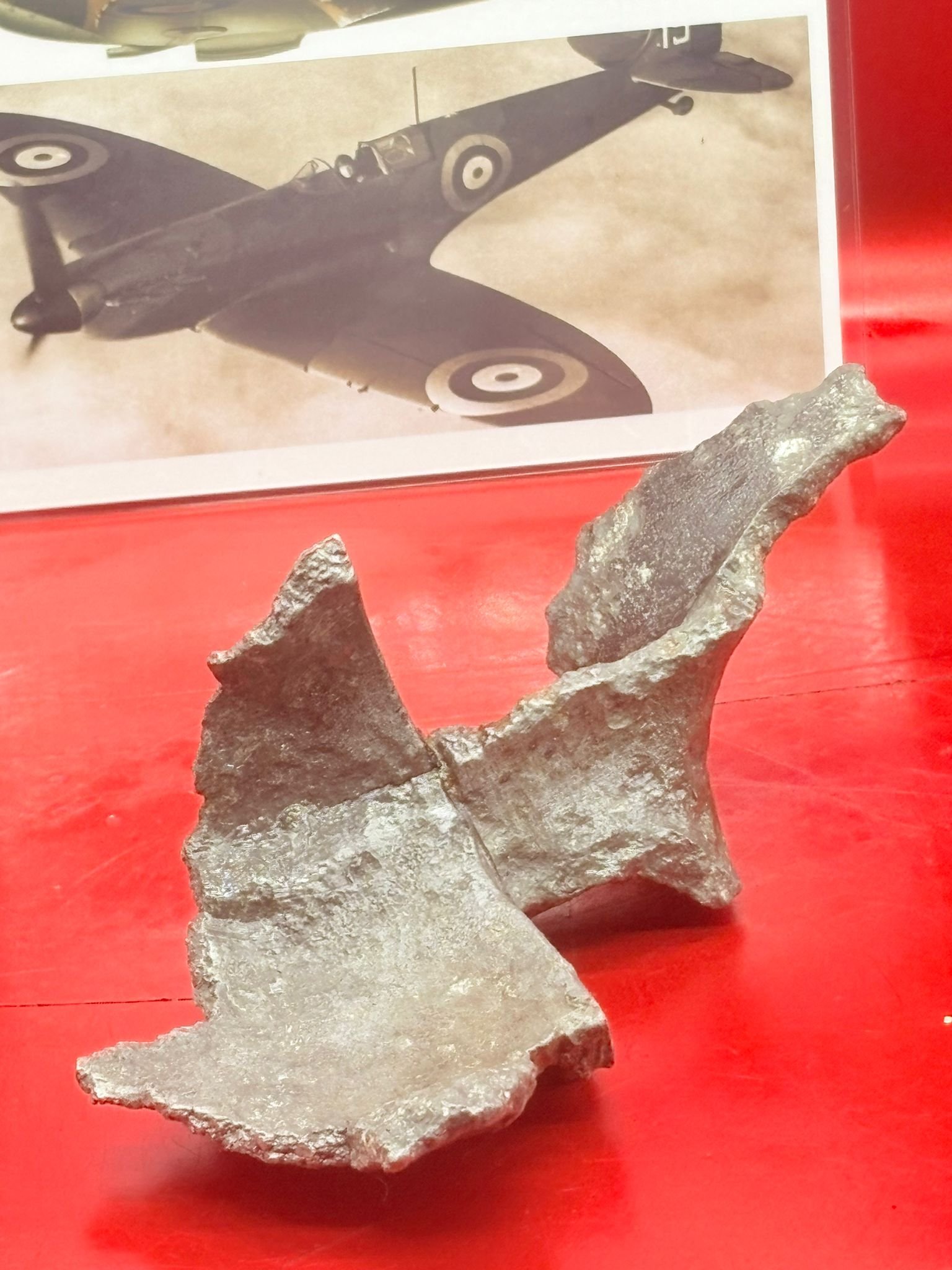 WhatsApp Image 2025-12-08 at 16.42.02 (3).jpeg