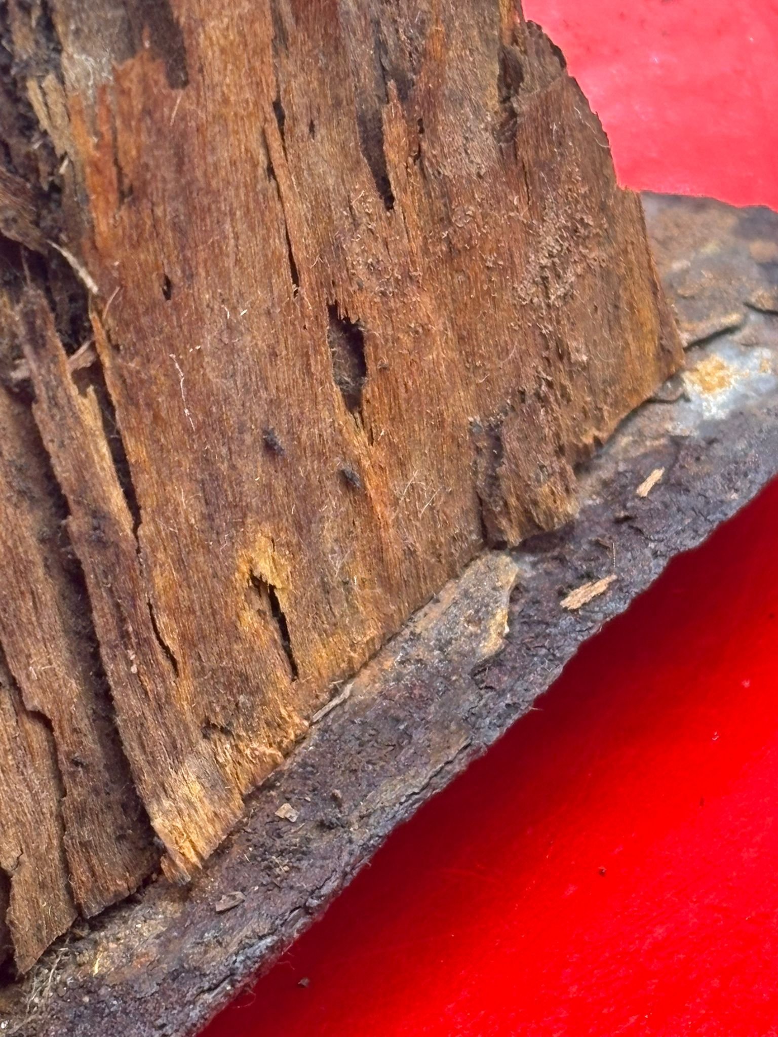 WhatsApp Image 2025-10-24 at 13.38.42 (1).jpeg