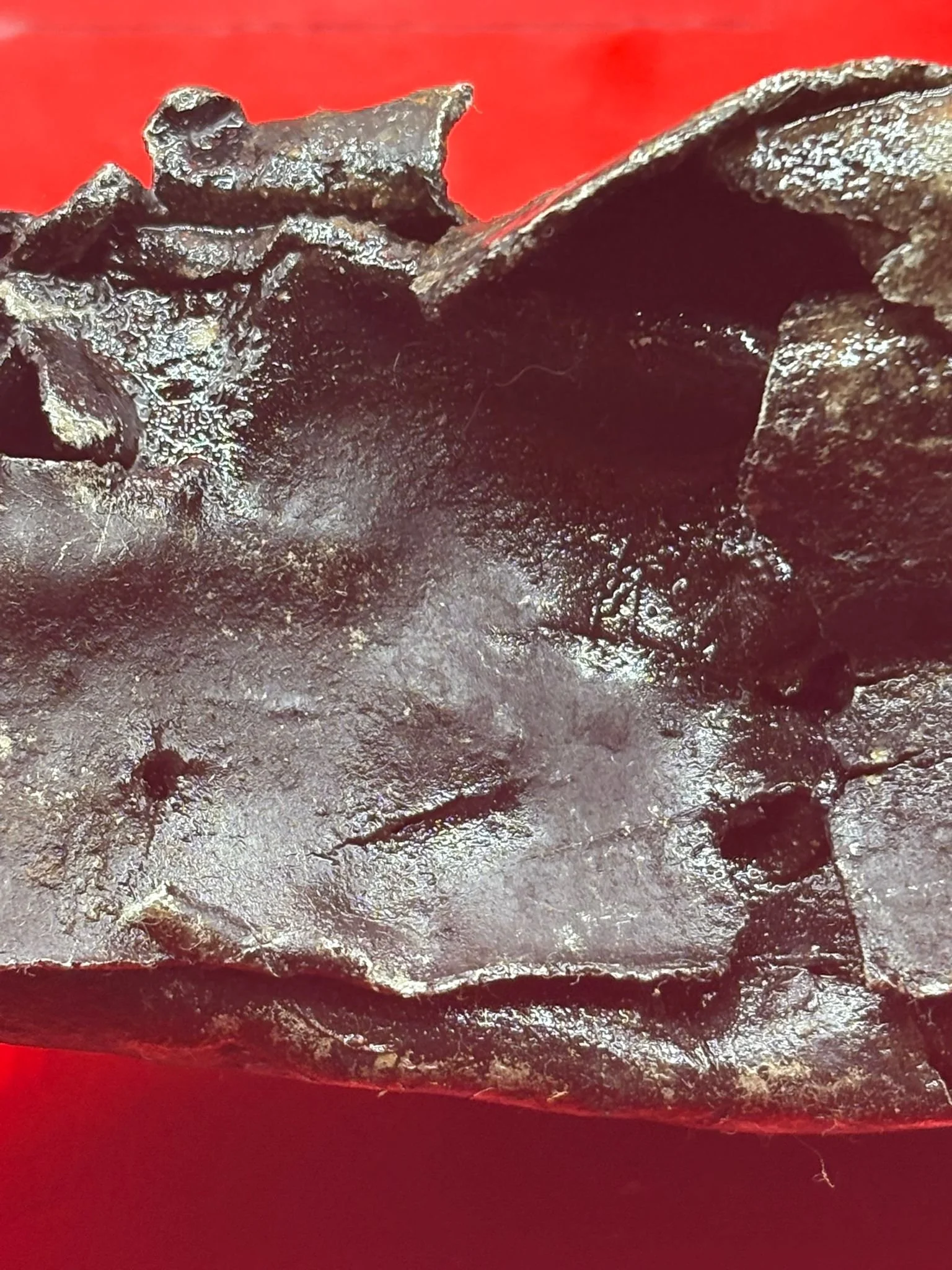 WhatsApp Image 2026-03-12 at 14.23.23.jpeg