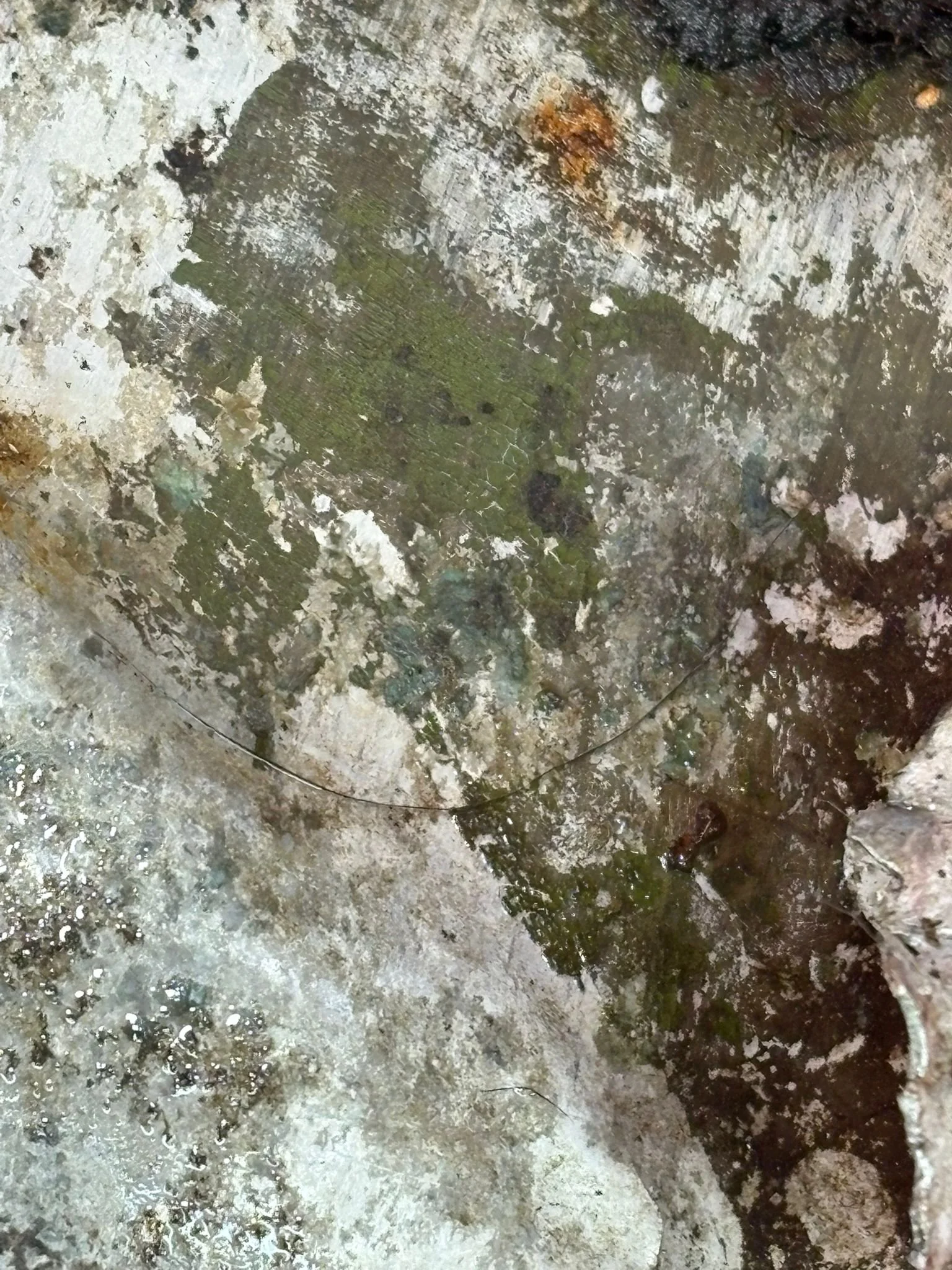 WhatsApp Image 2026-02-10 at 11.58.08 (3).jpeg