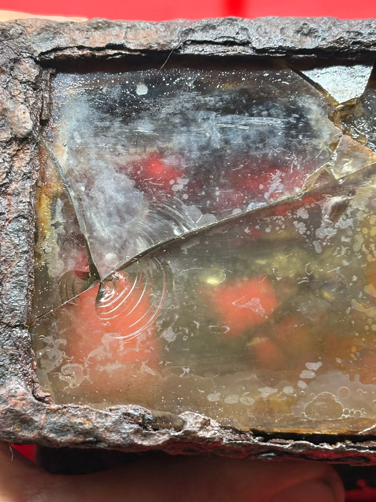 WhatsApp Image 2025-11-24 at 17.04.47 (1).jpeg