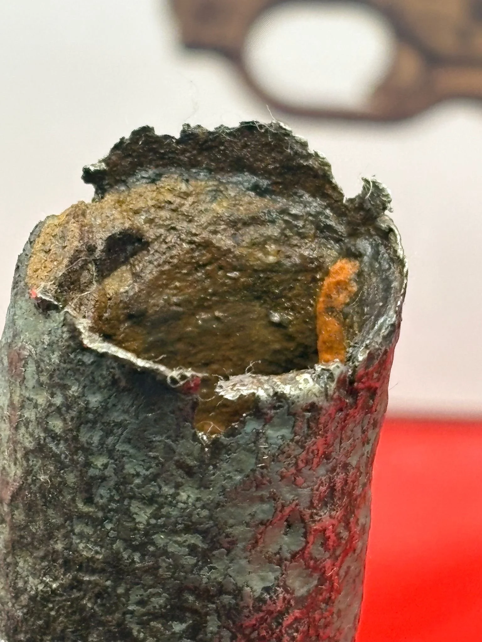 WhatsApp Image 2025-10-21 at 15.03.57.jpeg