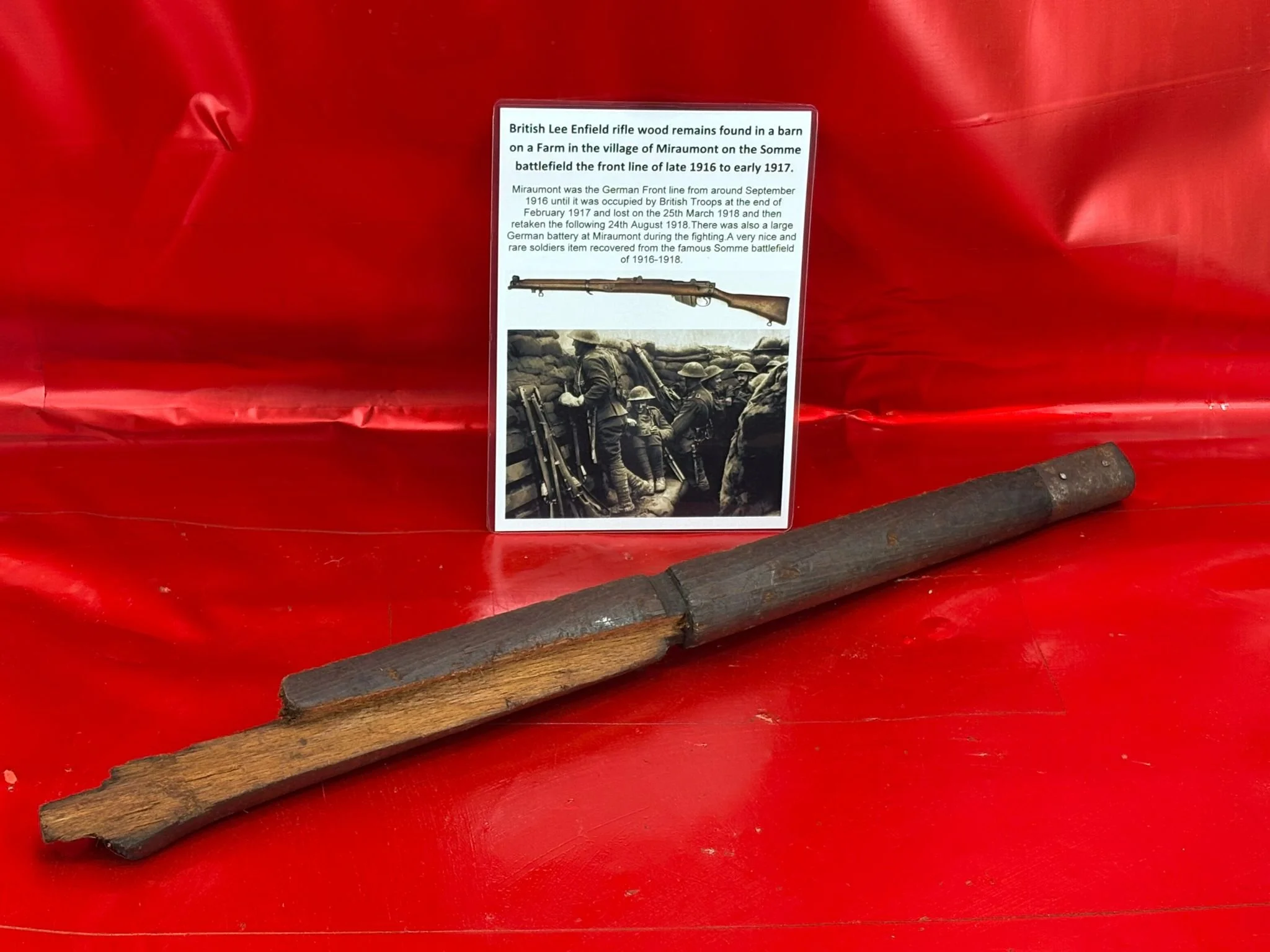 WhatsApp Image 2025-11-16 at 15.05.20.jpeg