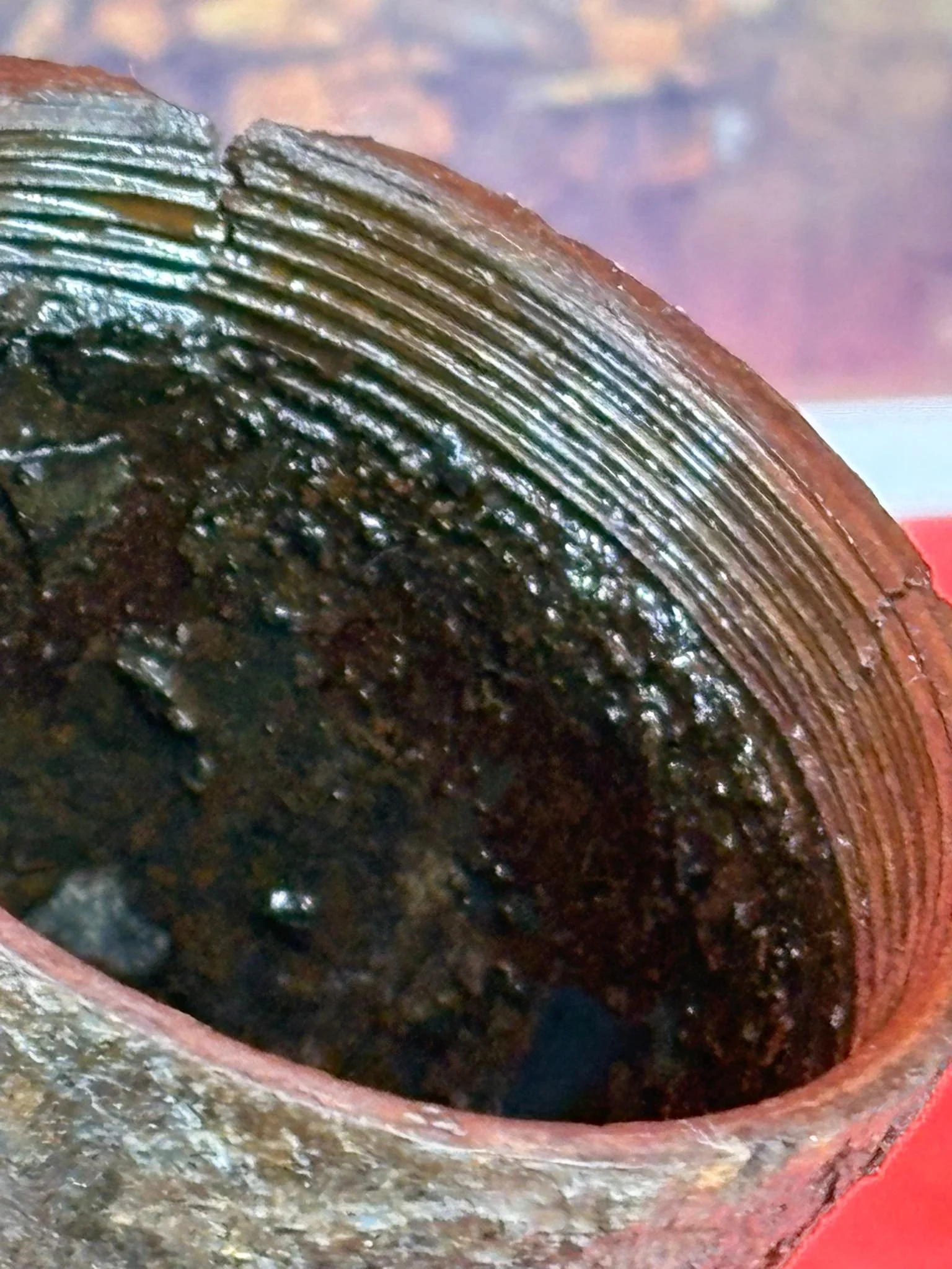 WhatsApp Image 2025-11-16 at 15.52.02.jpeg