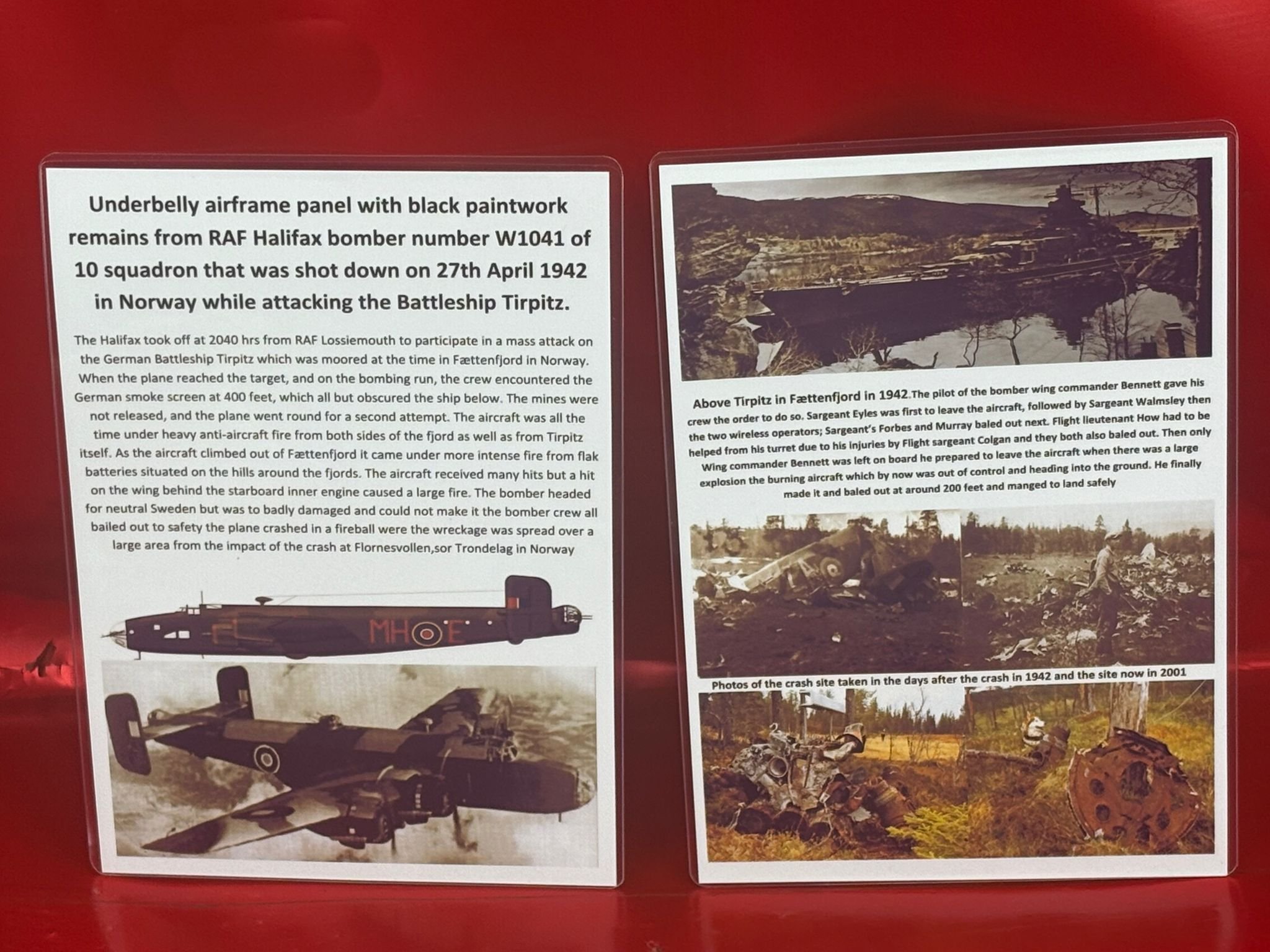 WhatsApp Image 2026-02-13 at 16.26.19 (5).jpeg