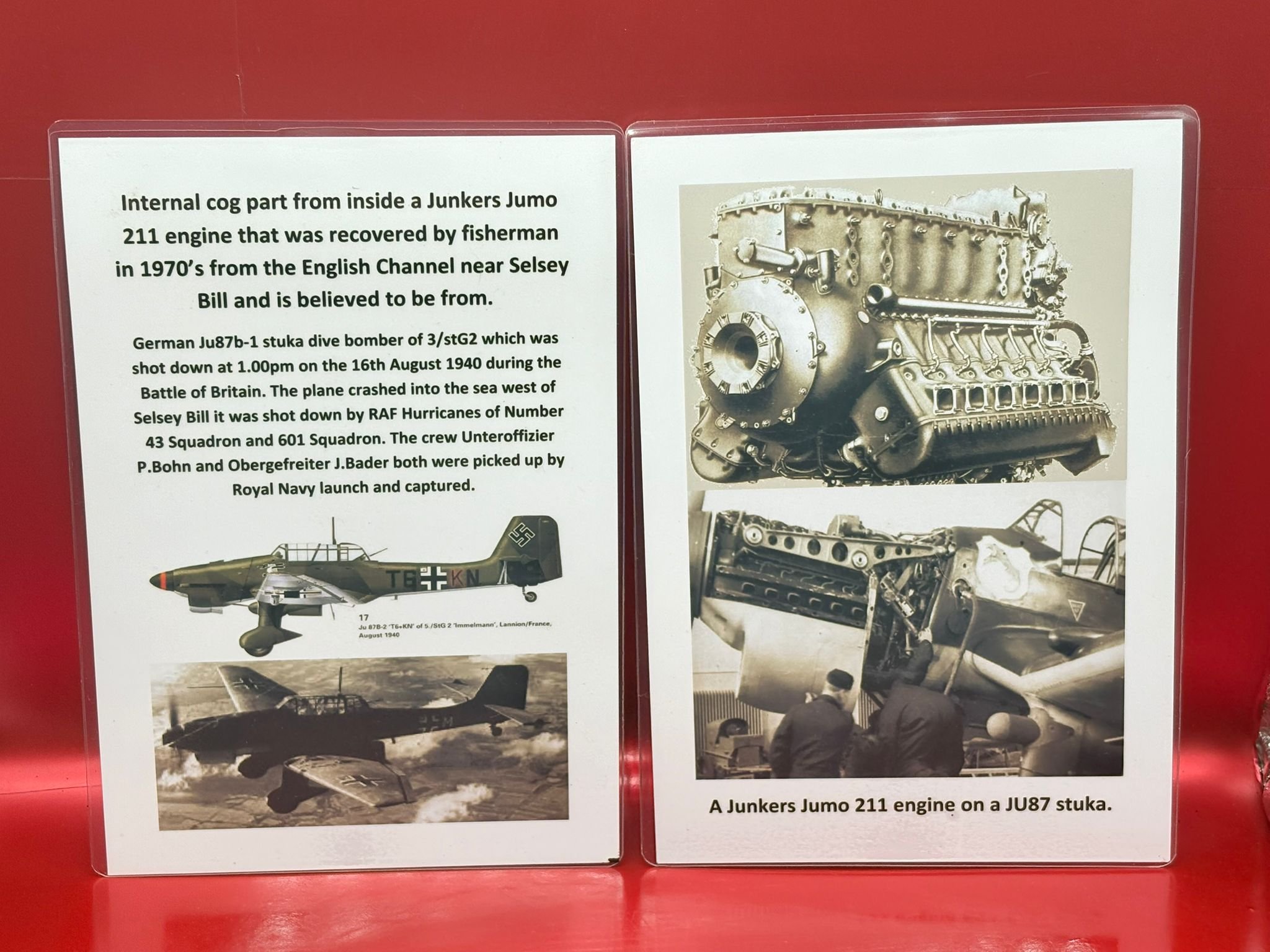 WhatsApp Image 2025-12-08 at 16.04.09 (2).jpeg