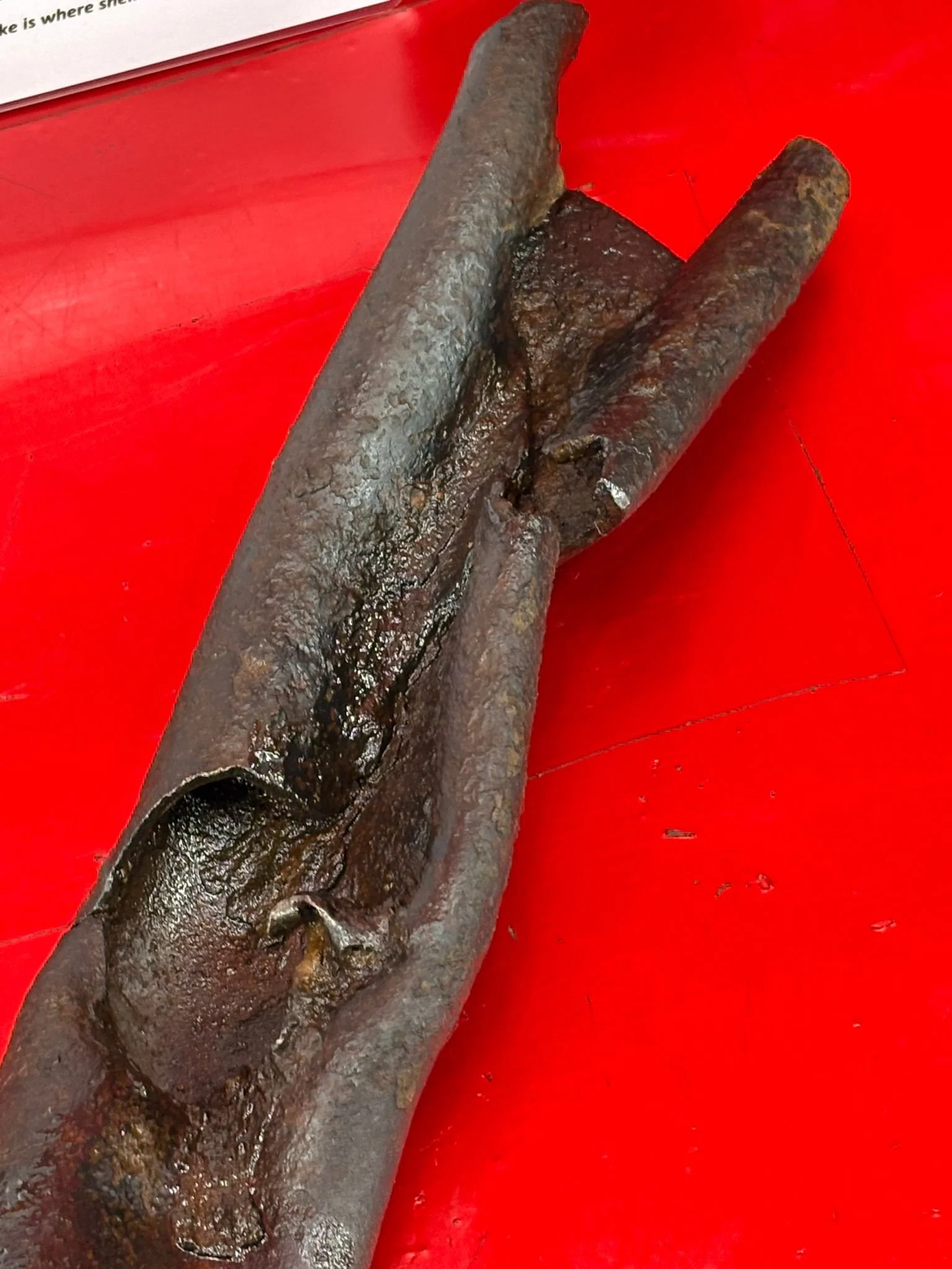 WhatsApp Image 2025-10-27 at 15.24.22 (1).jpeg