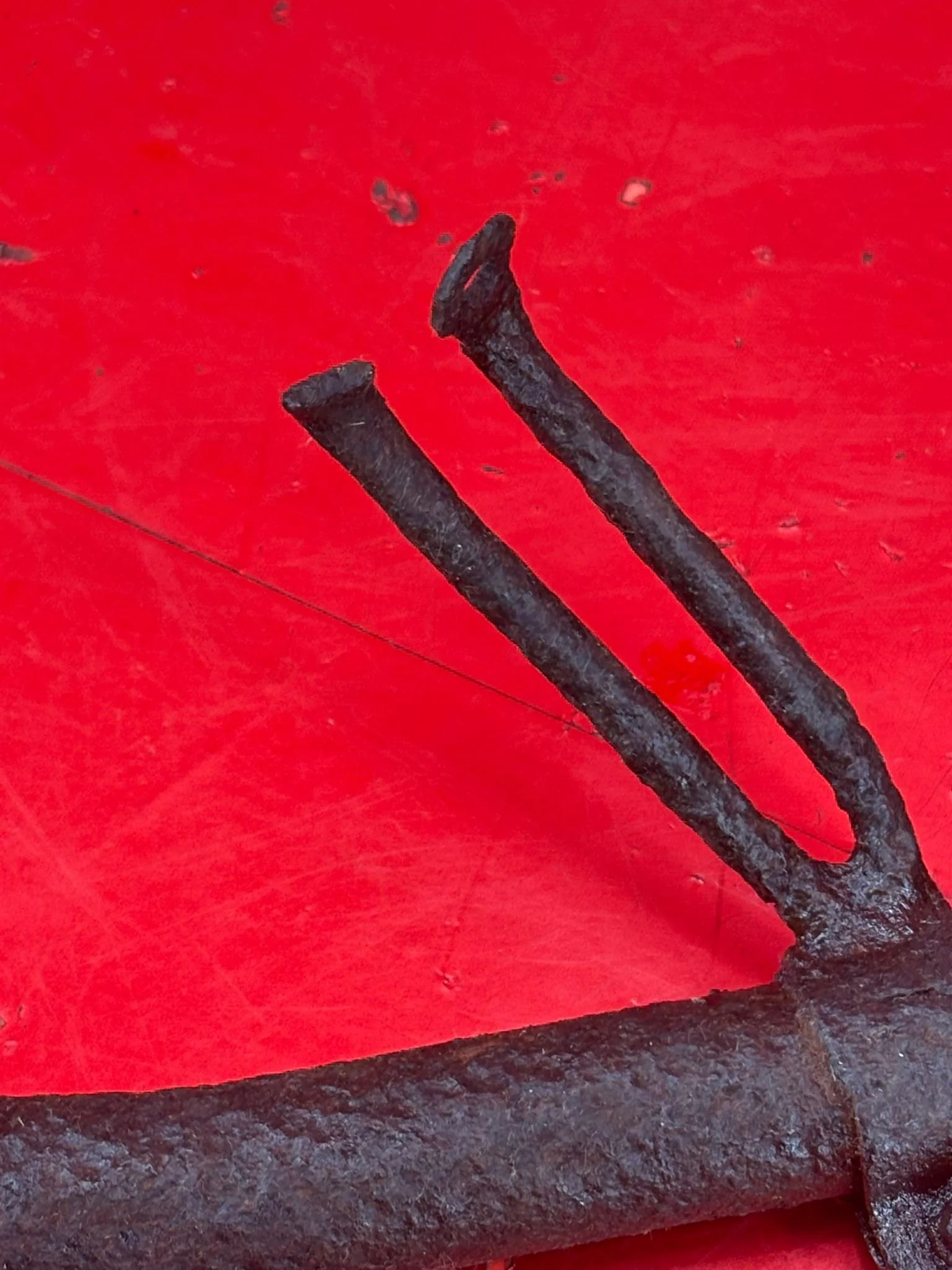 WhatsApp Image 2026-03-12 at 15.28.20 (3).jpeg