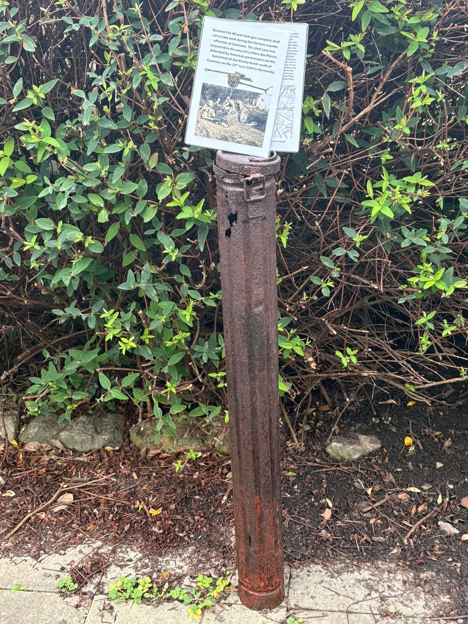 WhatsApp Image 2025-11-18 at 12.29.57.jpeg