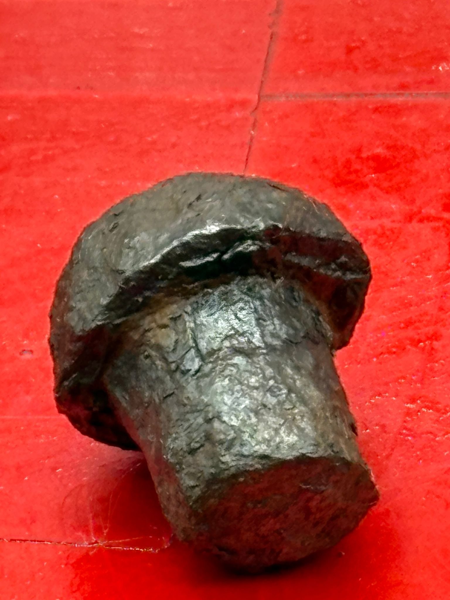 WhatsApp Image 2025-11-12 at 13.12.10 (1).jpeg