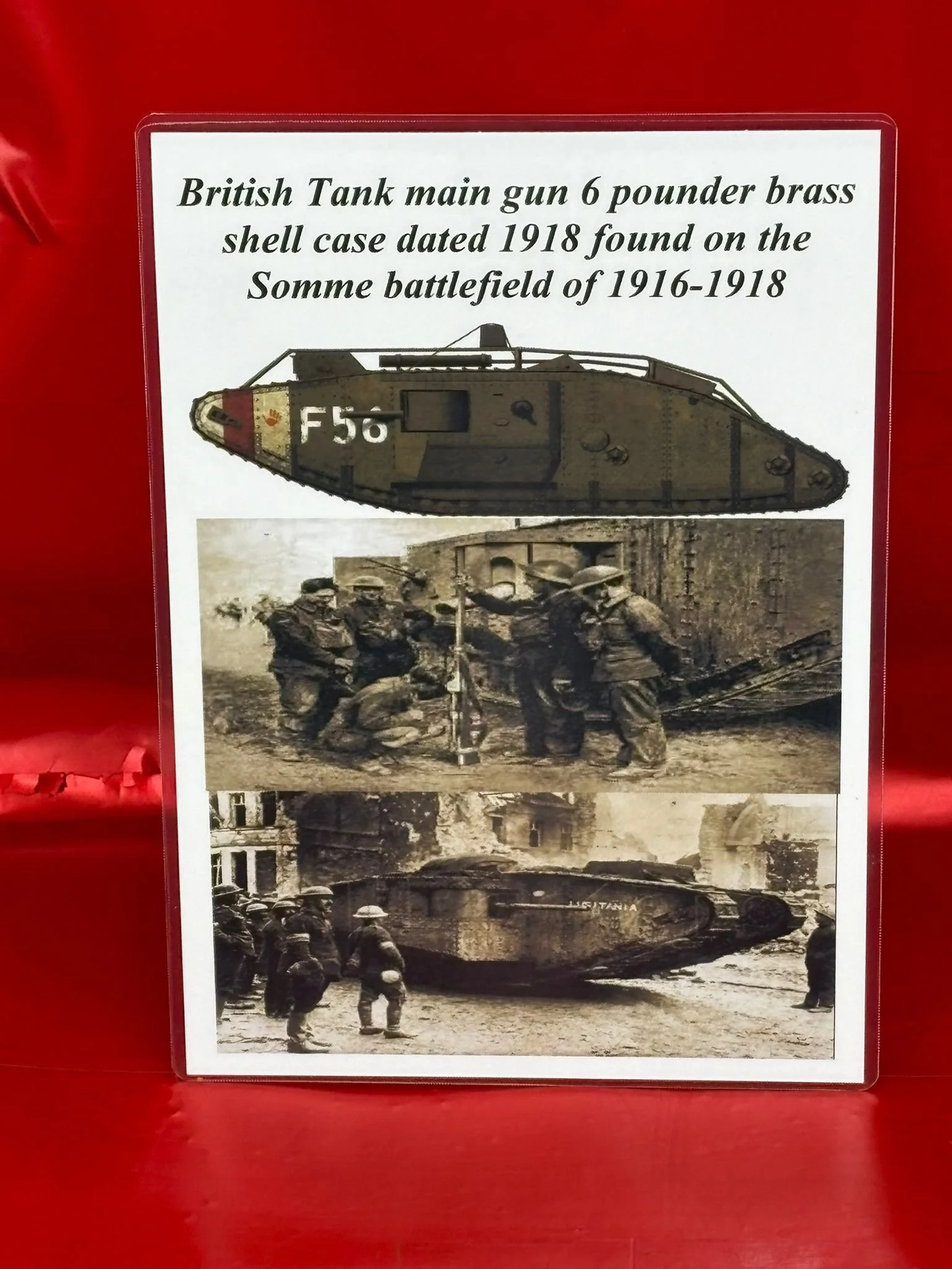 WhatsApp Image 2025-11-26 at 14.49.46 (10).jpeg