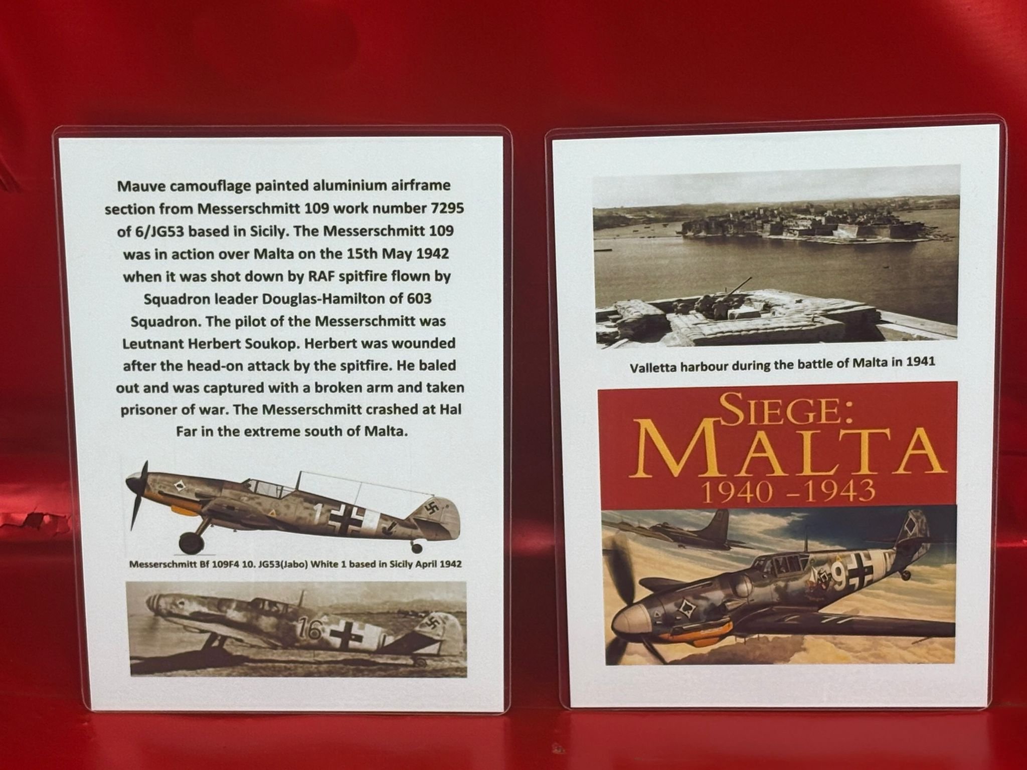 WhatsApp Image 2025-12-08 at 16.55.35 (8).jpeg