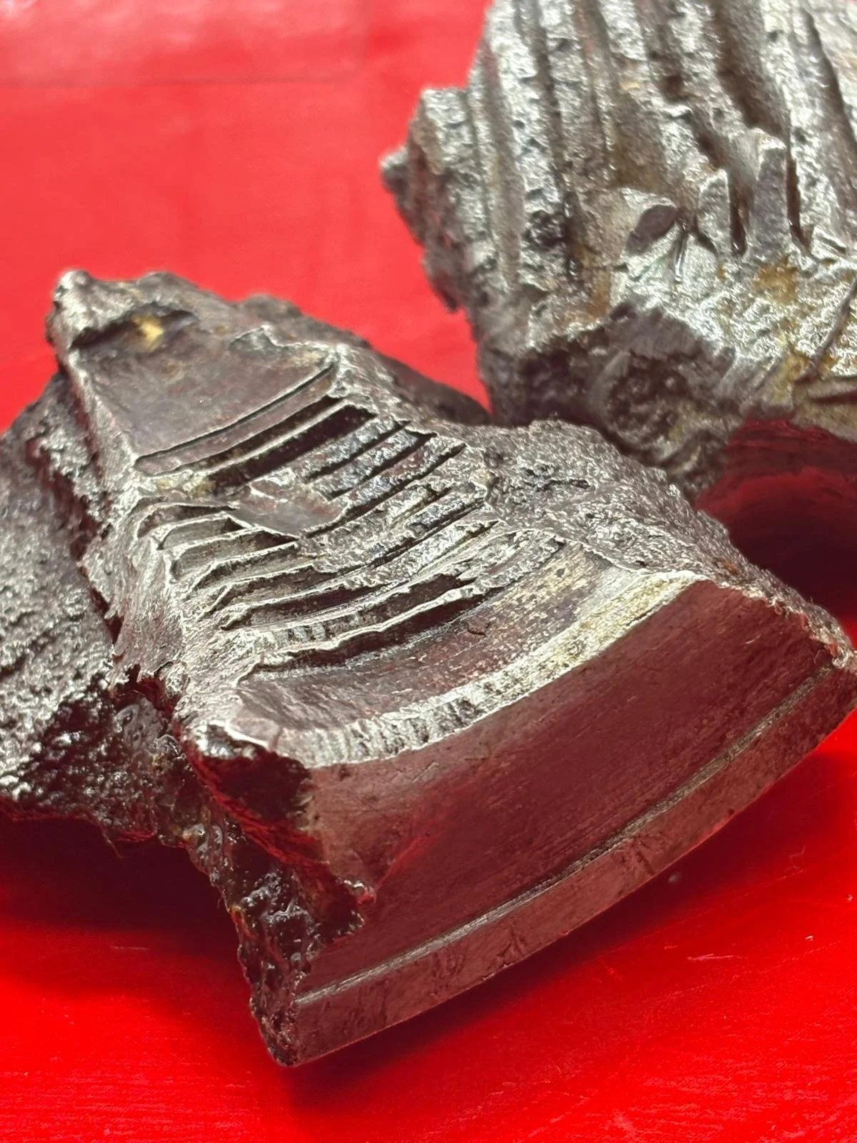 WhatsApp Image 2025-12-09 at 14.14.08 (5).jpeg