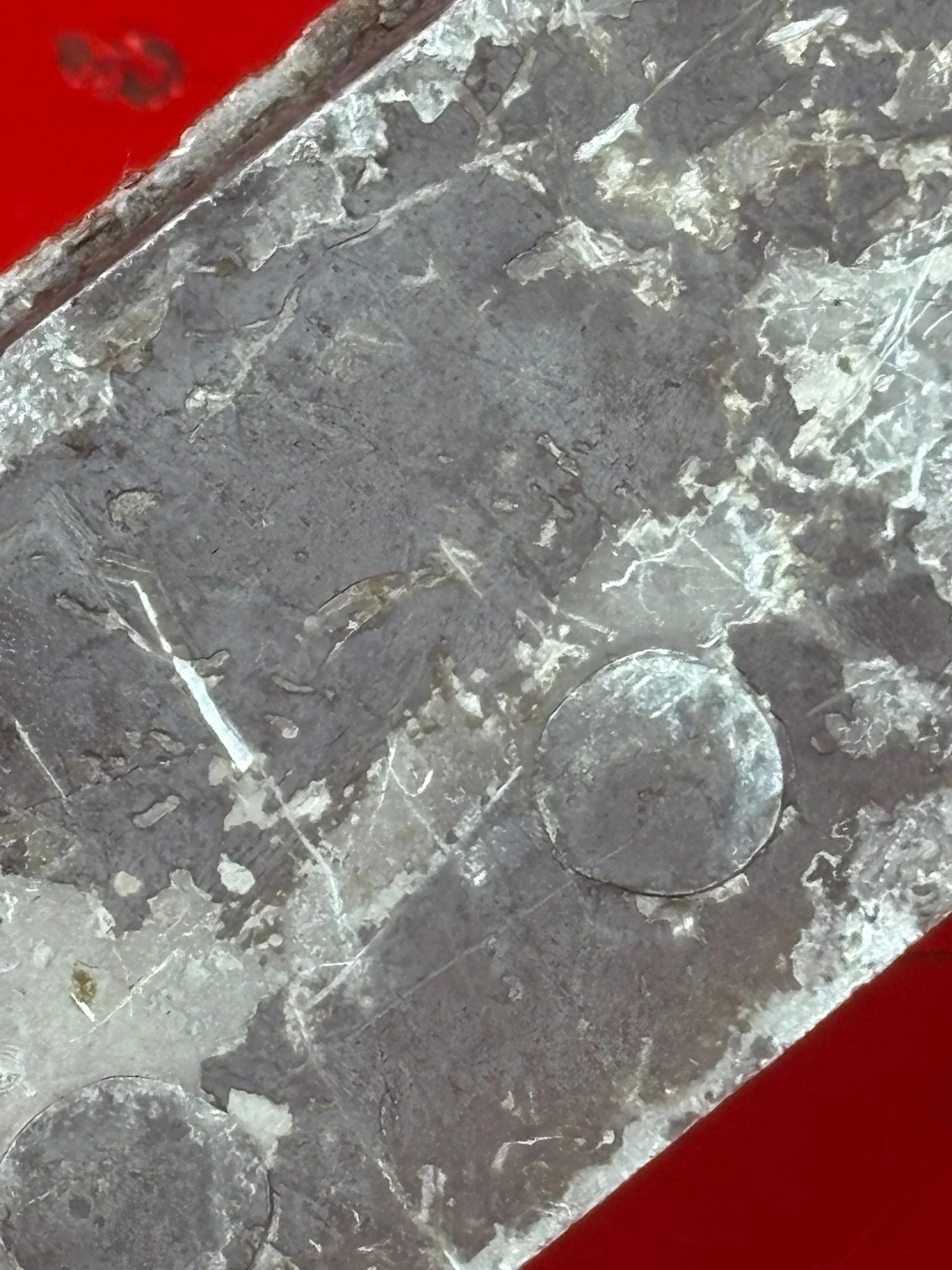 WhatsApp Image 2025-12-08 at 16.55.35 (7).jpeg