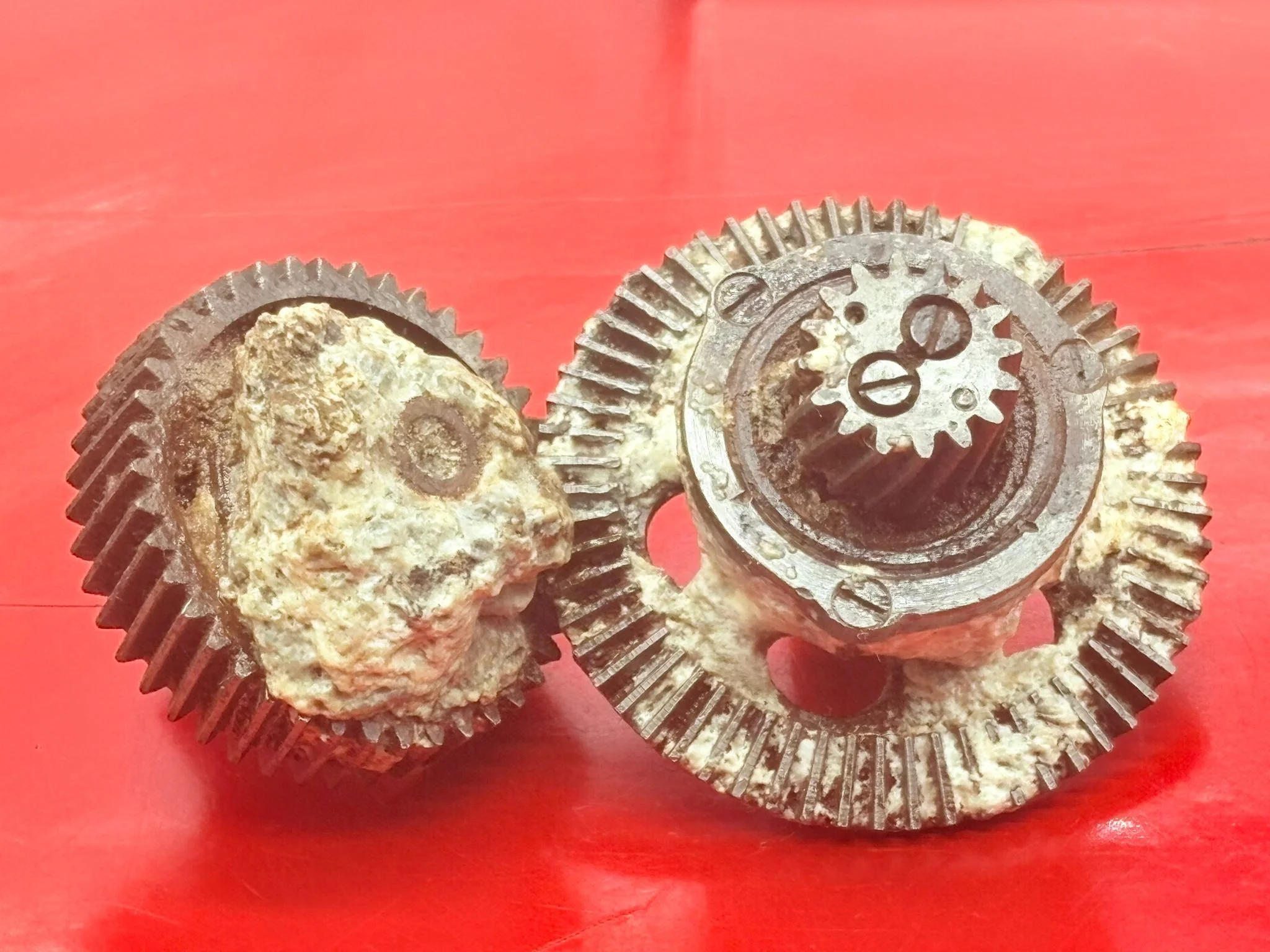 WhatsApp Image 2025-12-08 at 16.51.39 (2).jpeg