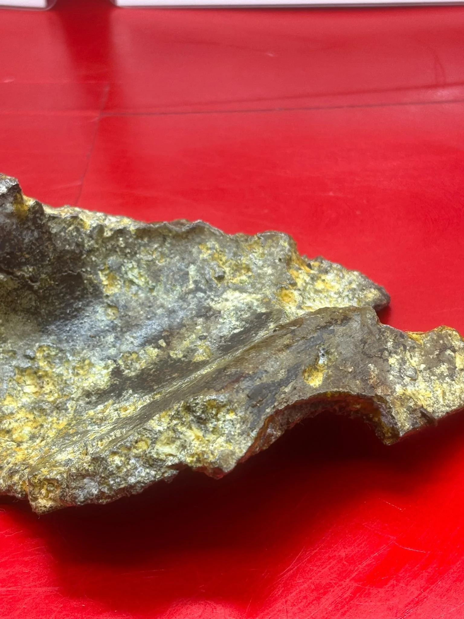 WhatsApp Image 2026-02-13 at 16.14.12 (4).jpeg