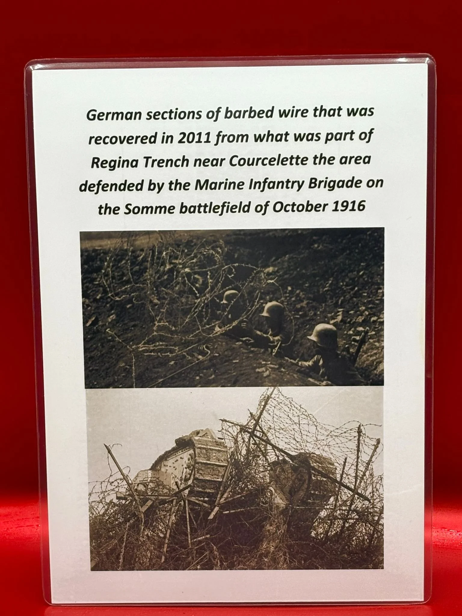 WhatsApp Image 2025-11-12 at 13.16.47 (5).jpeg