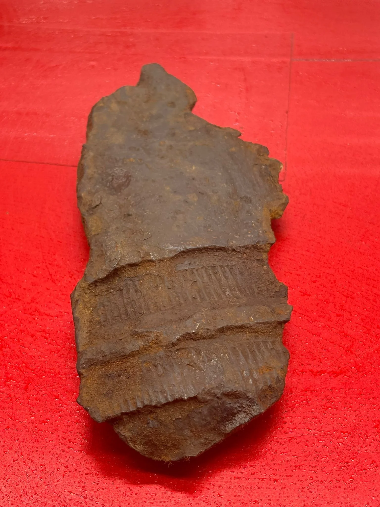 WhatsApp Image 2025-11-18 at 15.10.48 (1).jpeg