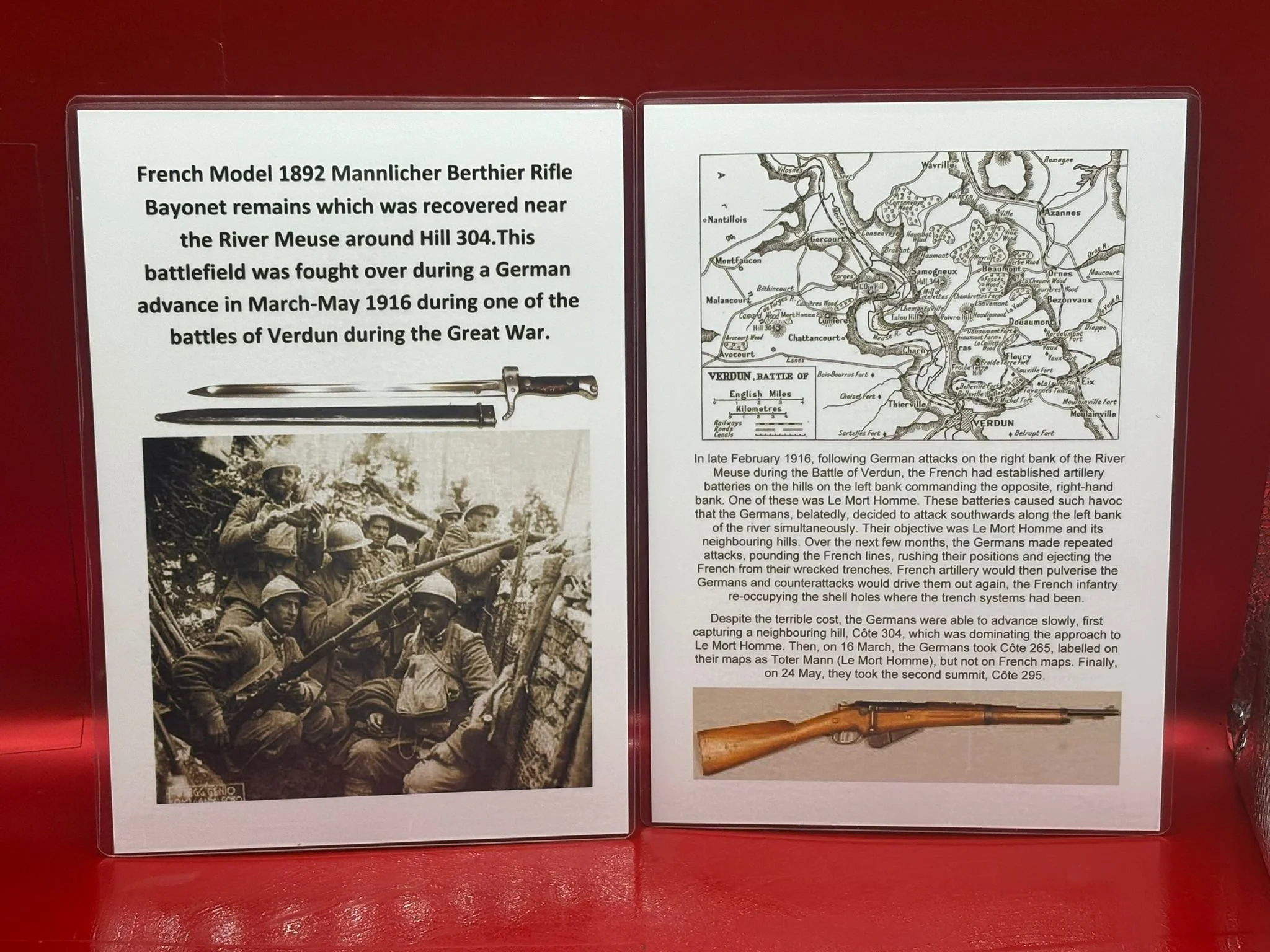 WhatsApp Image 2025-11-16 at 16.05.51.jpeg