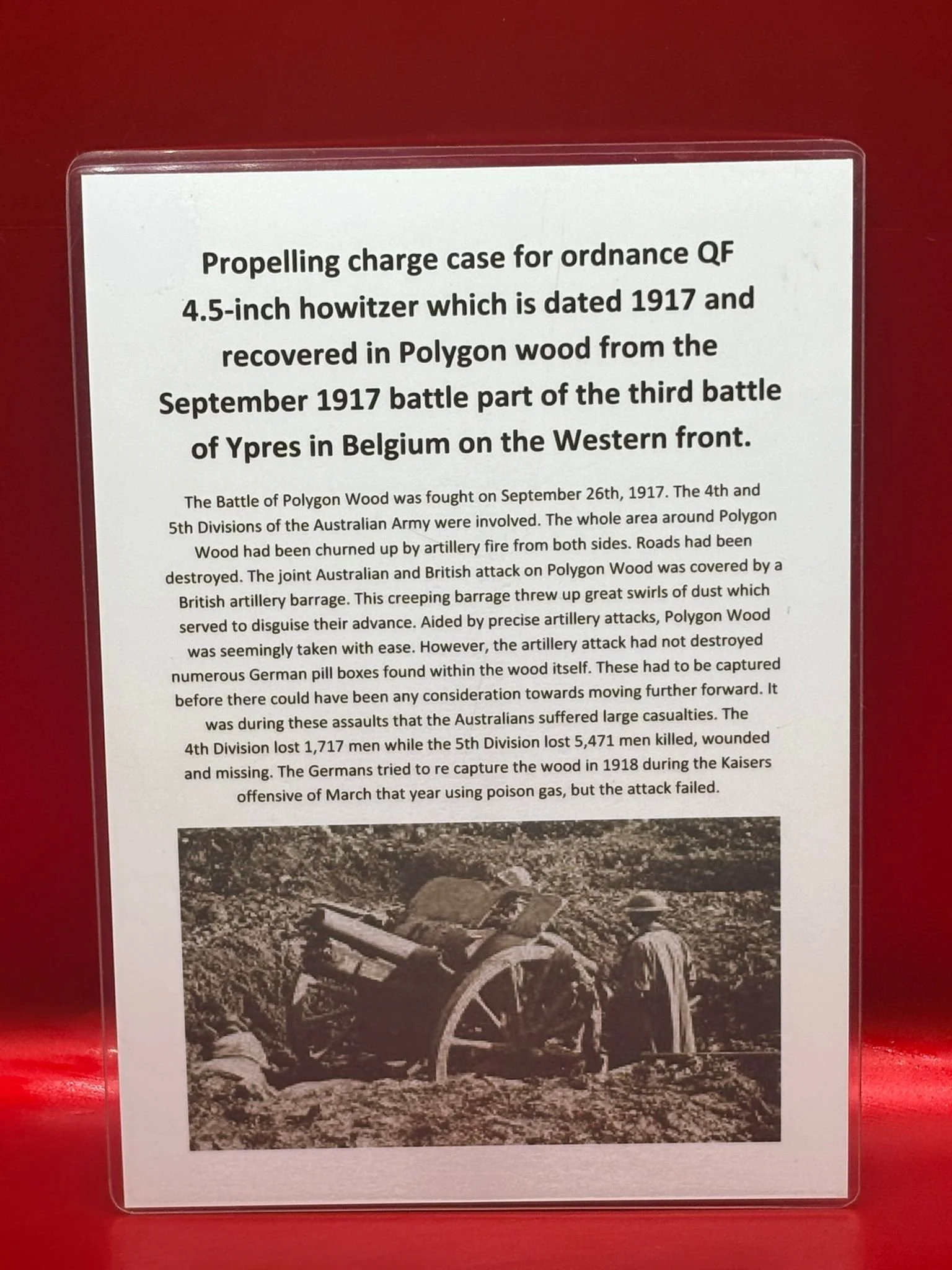 WhatsApp Image 2025-11-11 at 10.26.19 (4).jpeg