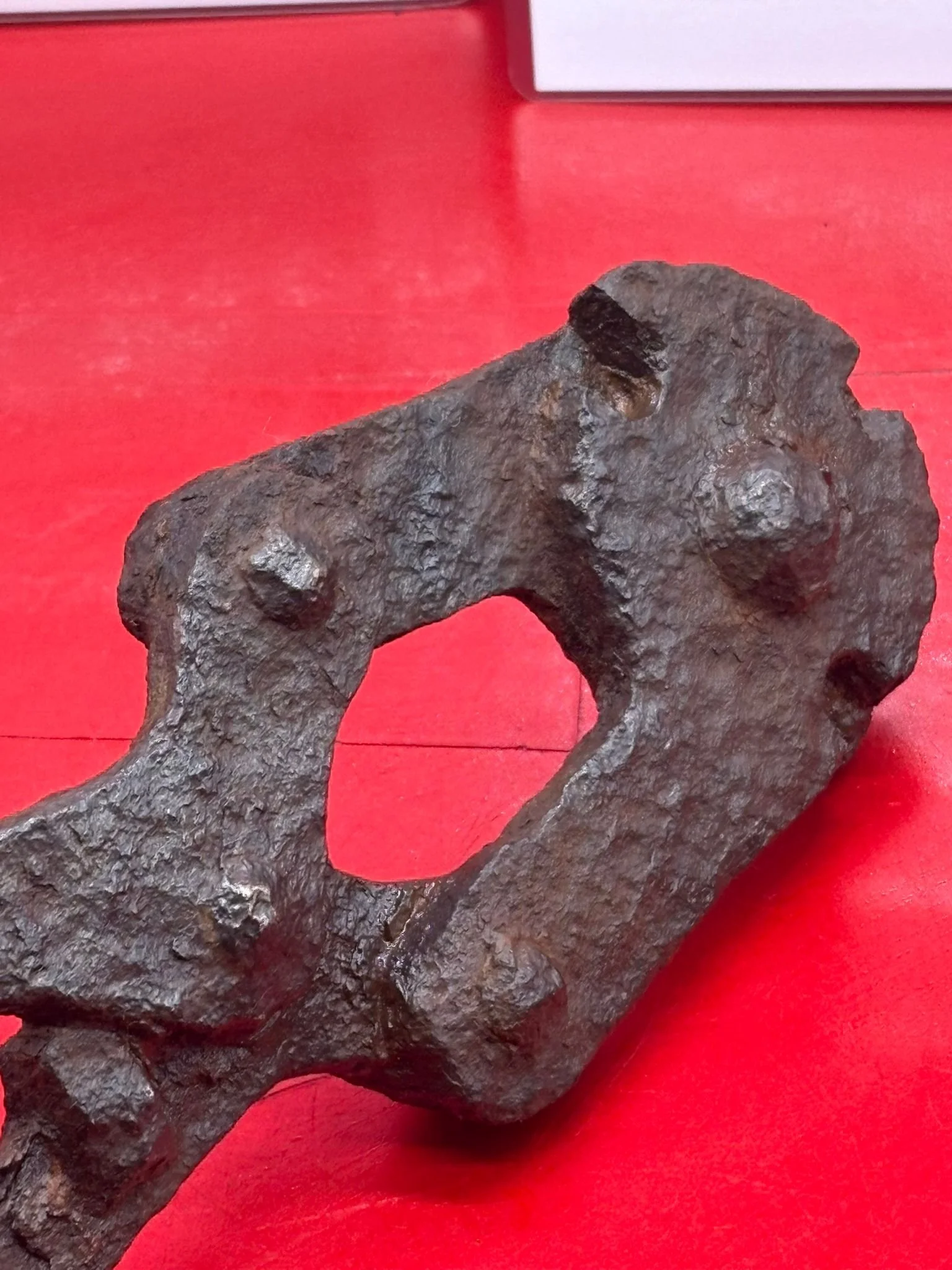 WhatsApp Image 2025-11-12 at 15.04.24 (2).jpeg