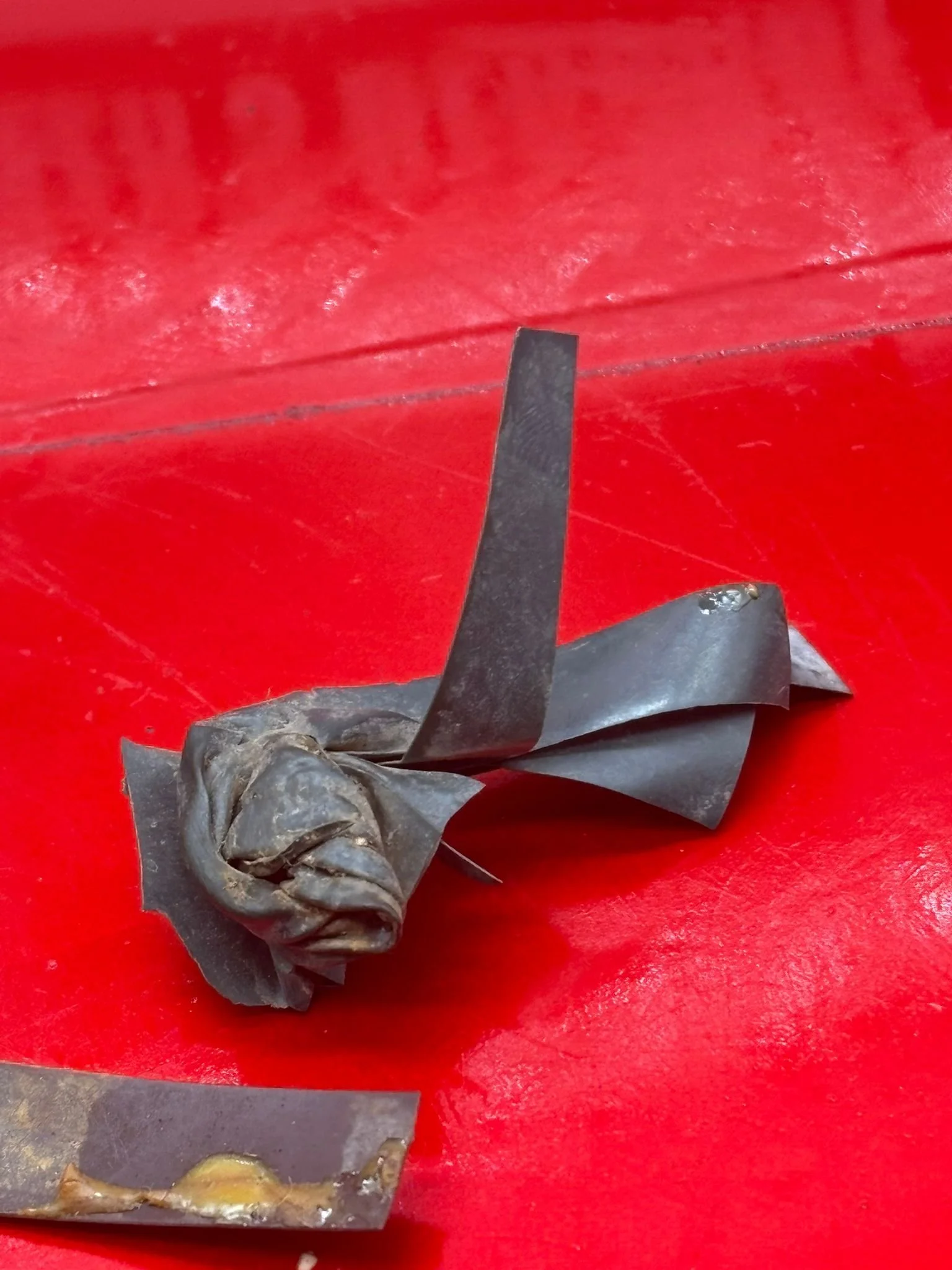 WhatsApp Image 2025-11-20 at 18.56.42.jpeg