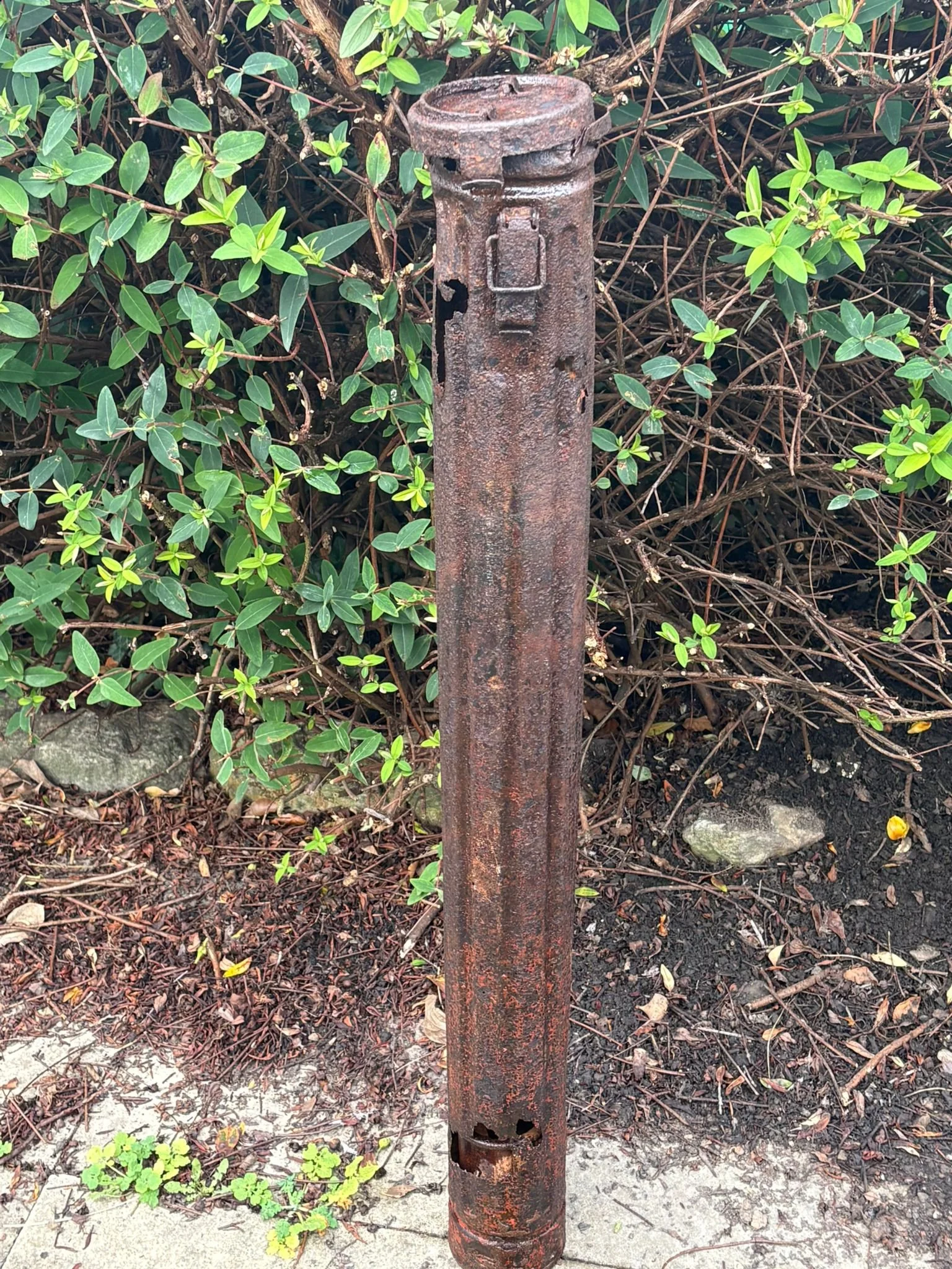 WhatsApp Image 2025-11-18 at 12.29.58.jpeg