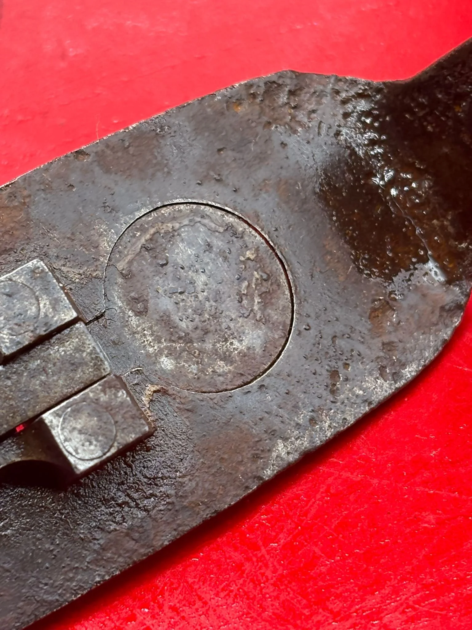 WhatsApp Image 2025-11-12 at 14.53.16 (4).jpeg