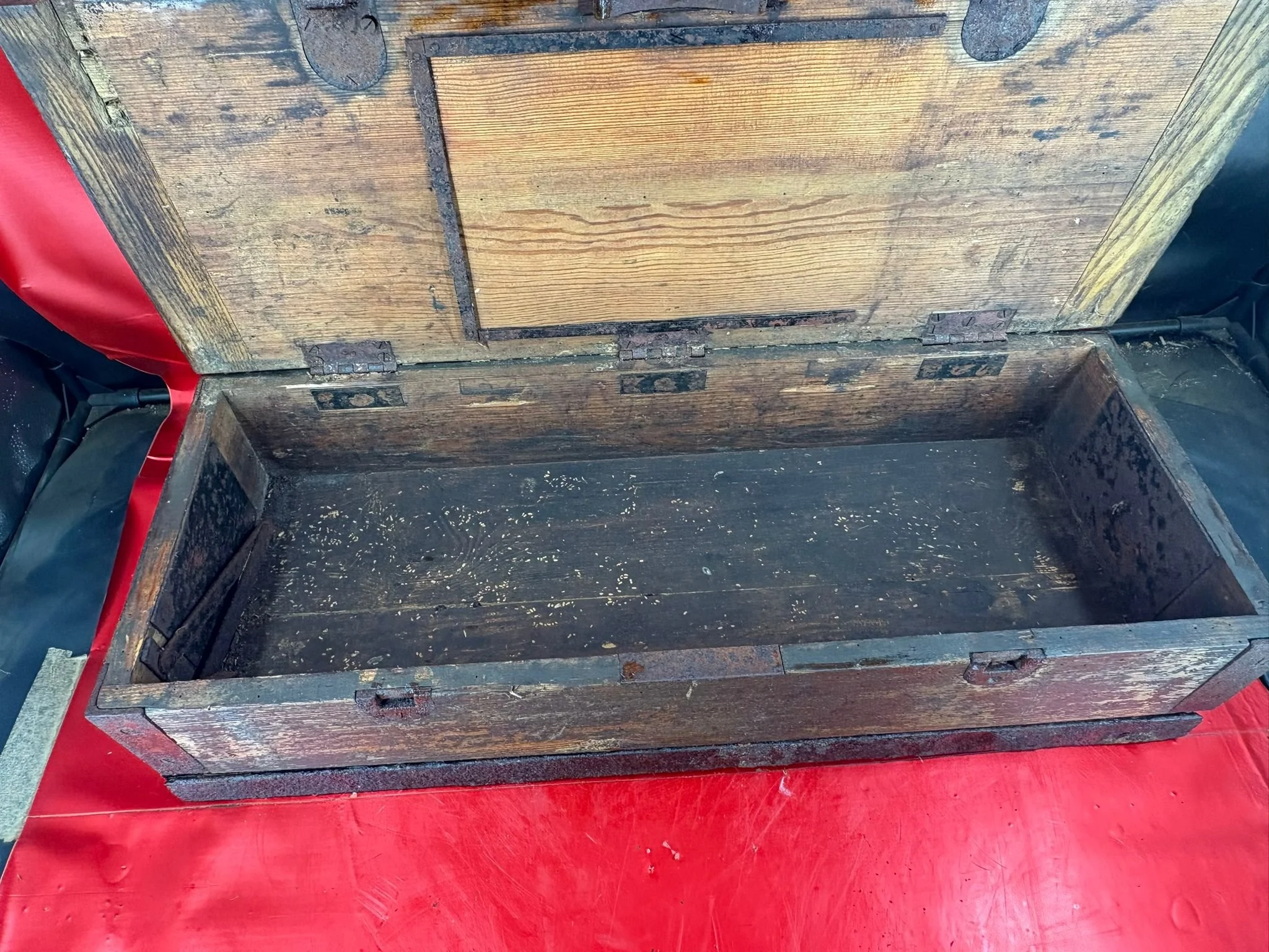 WhatsApp Image 2025-11-18 at 12.15.51 (5).jpeg