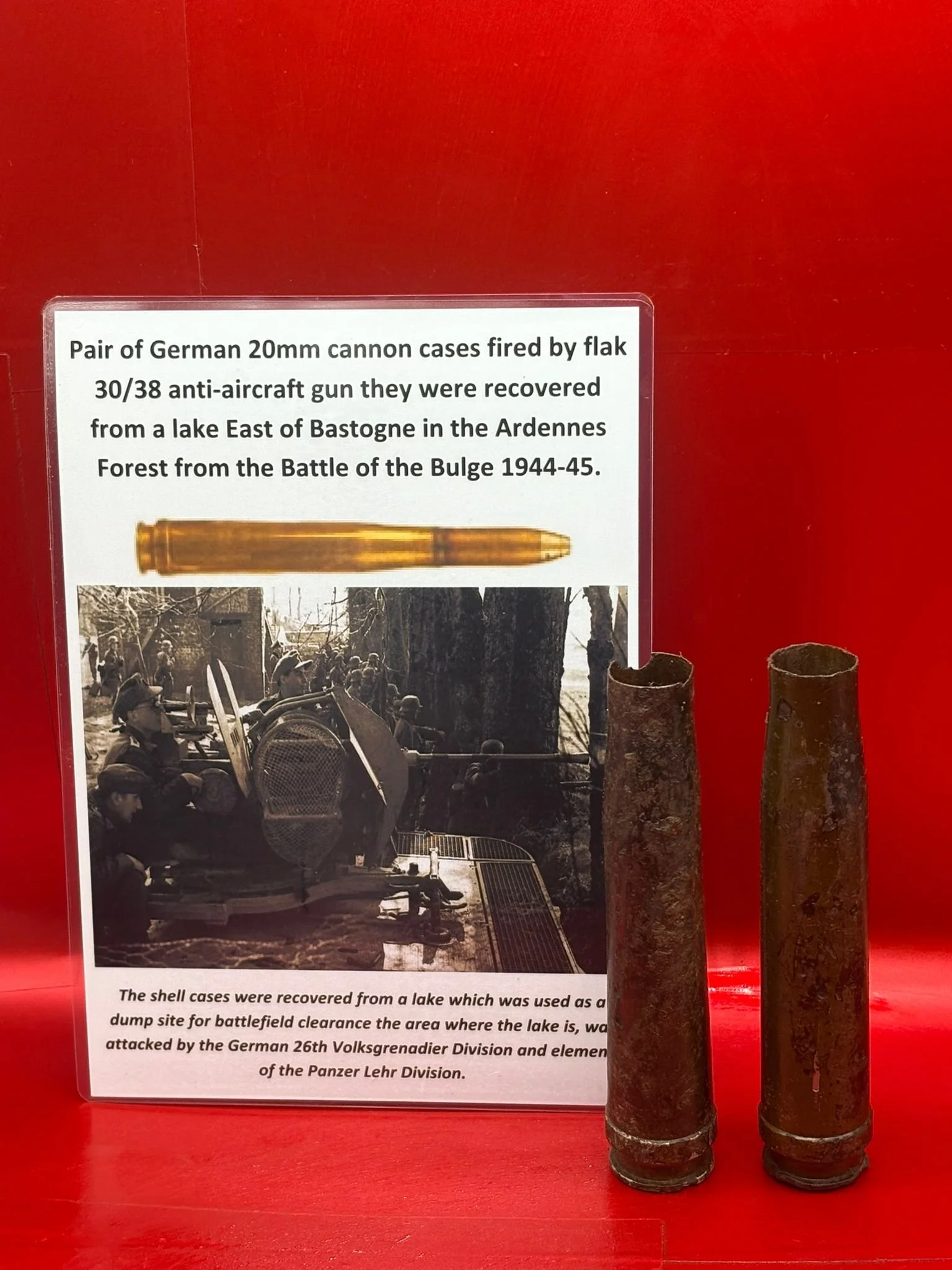 WhatsApp Image 2025-11-20 at 18.33.09.jpeg