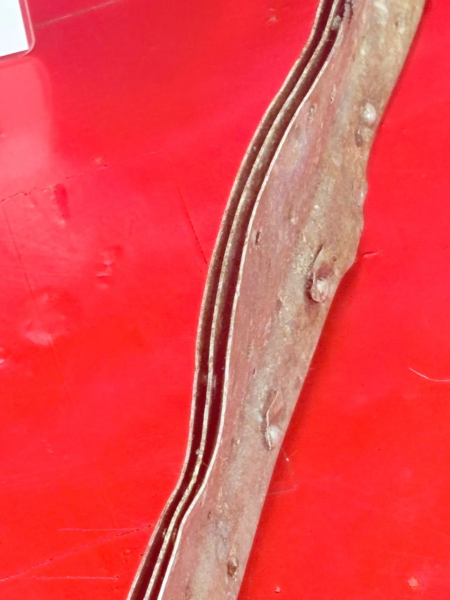 WhatsApp Image 2025-12-08 at 16.53.50 (6).jpeg