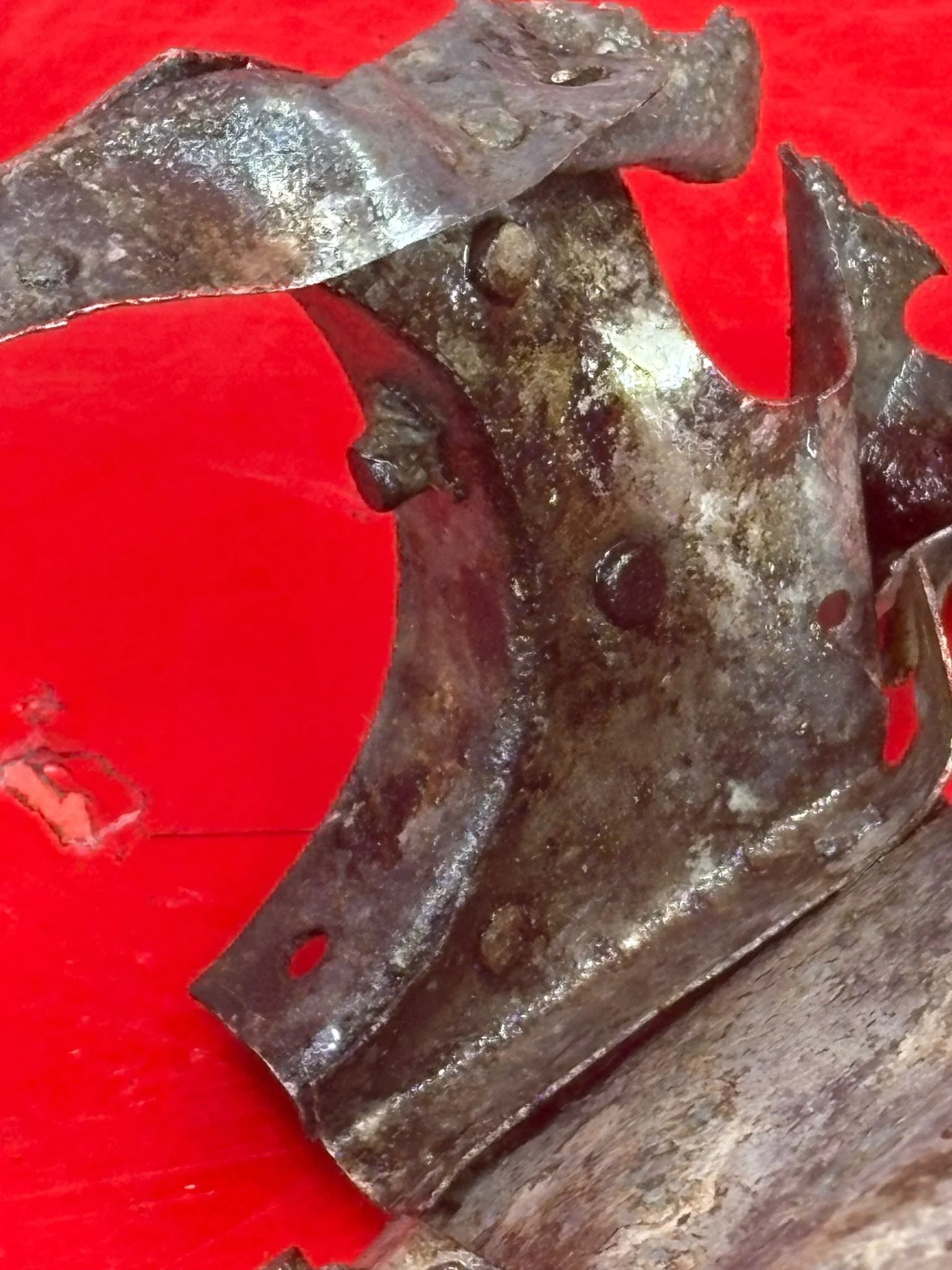 WhatsApp Image 2026-02-10 at 11.57.24 (4).jpeg