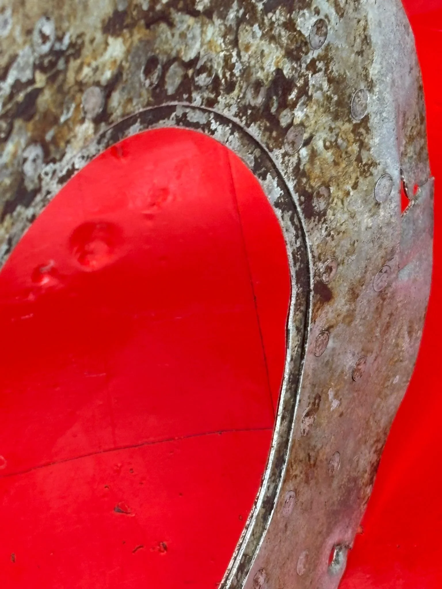 WhatsApp Image 2026-02-10 at 11.48.33 (4).jpeg