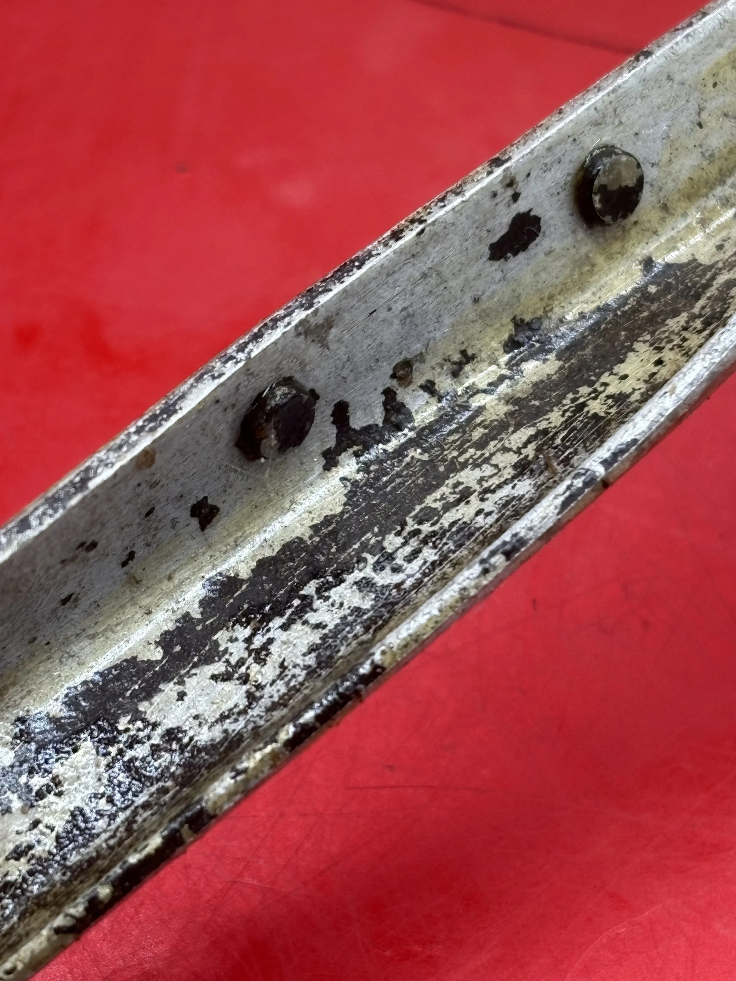 592.JPG