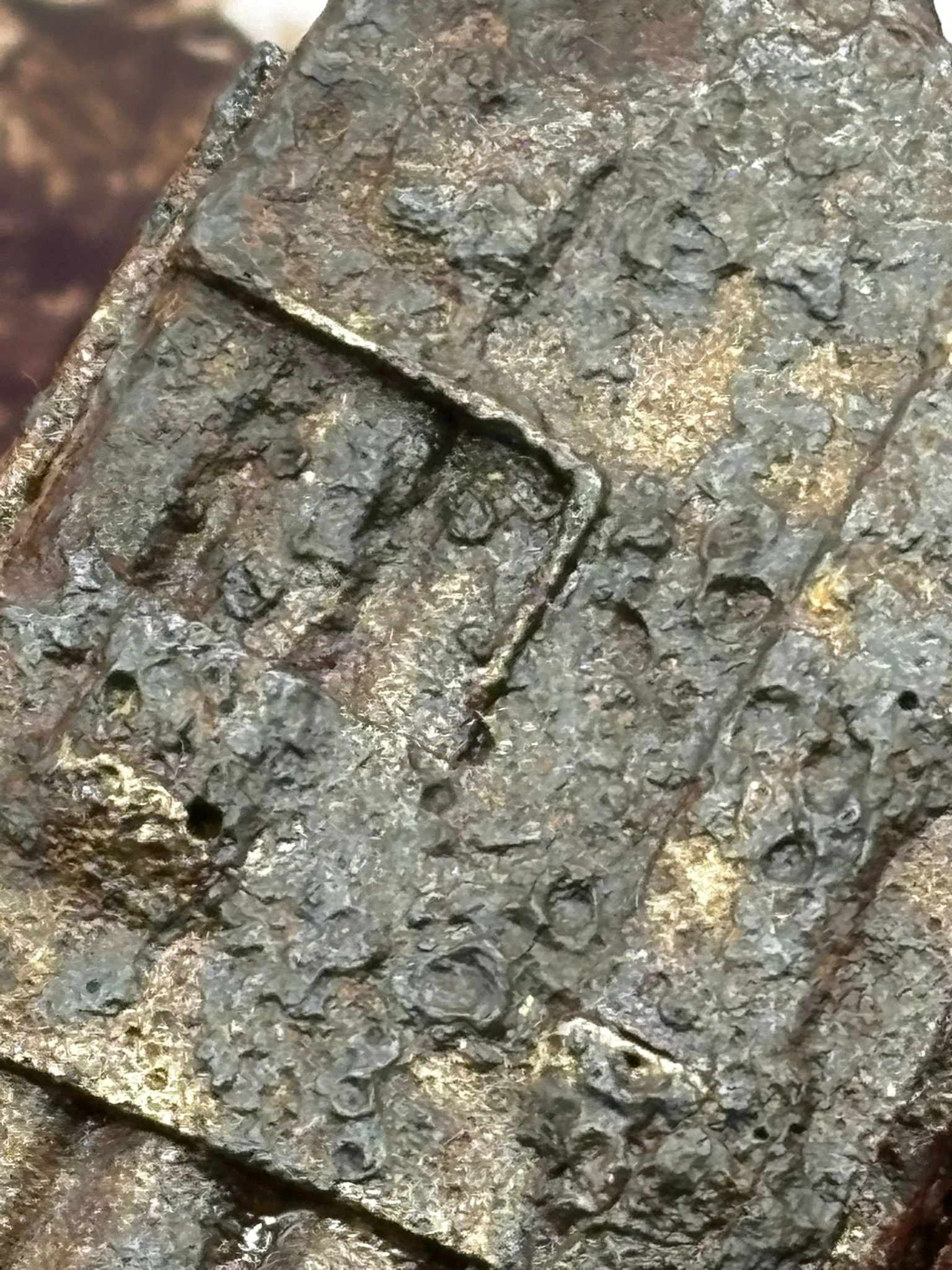 WhatsApp Image 2025-11-24 at 12.49.50 (3).jpeg