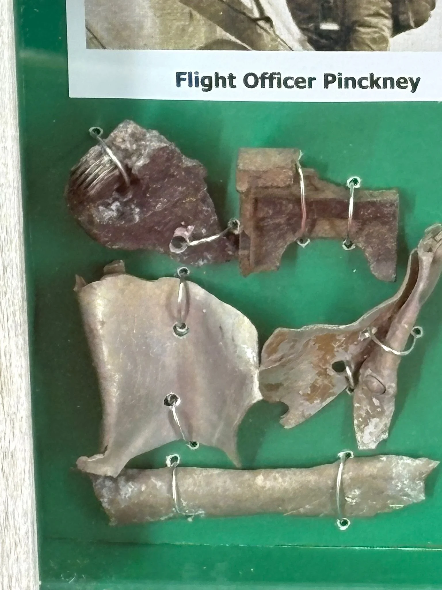 WhatsApp Image 2026-03-11 at 12.57.19.jpeg